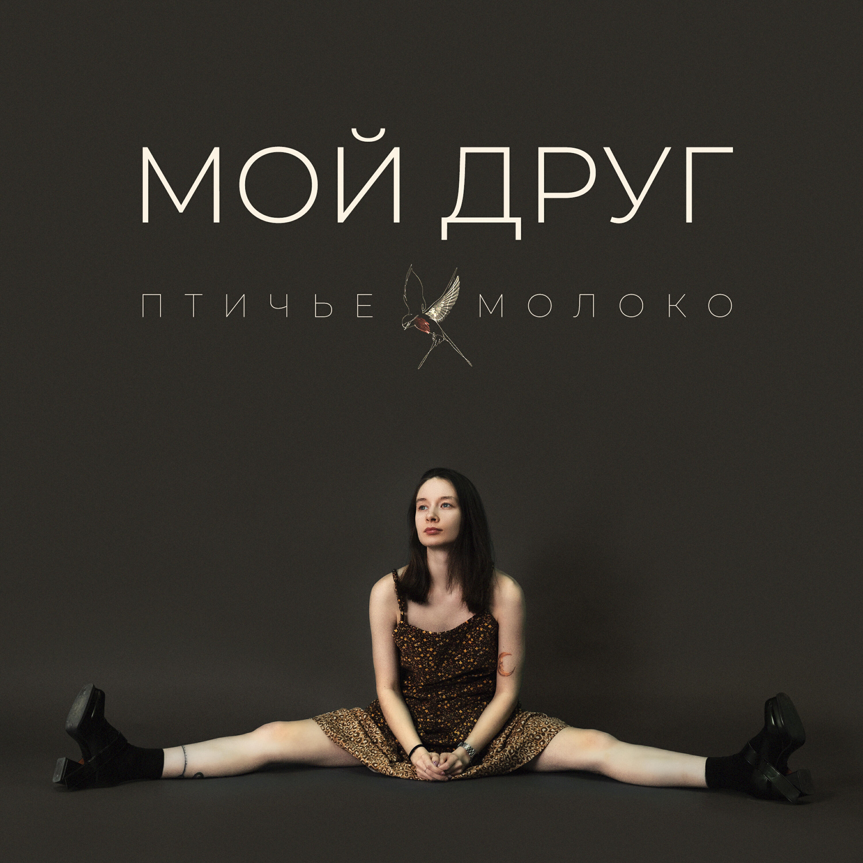 Релиз Мой друг