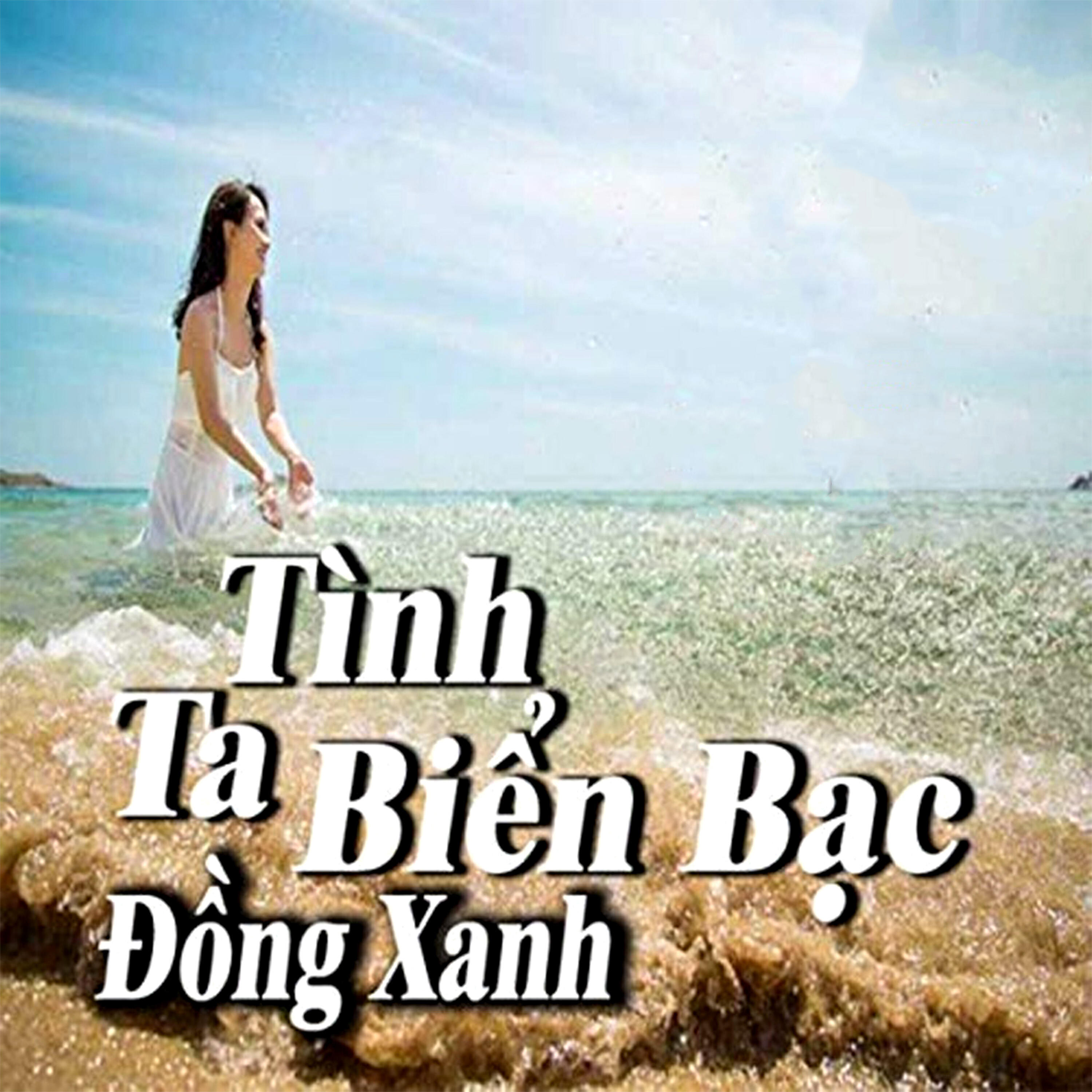 Релиз Tình Ta Biển Bạc Đồng Xanh