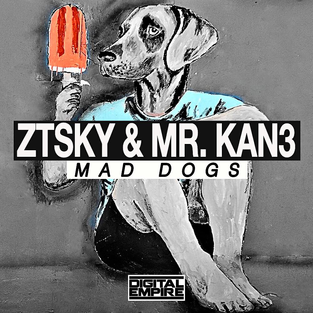 Mr.Kan3