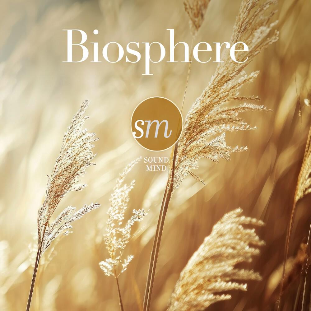 Релиз Biosphere