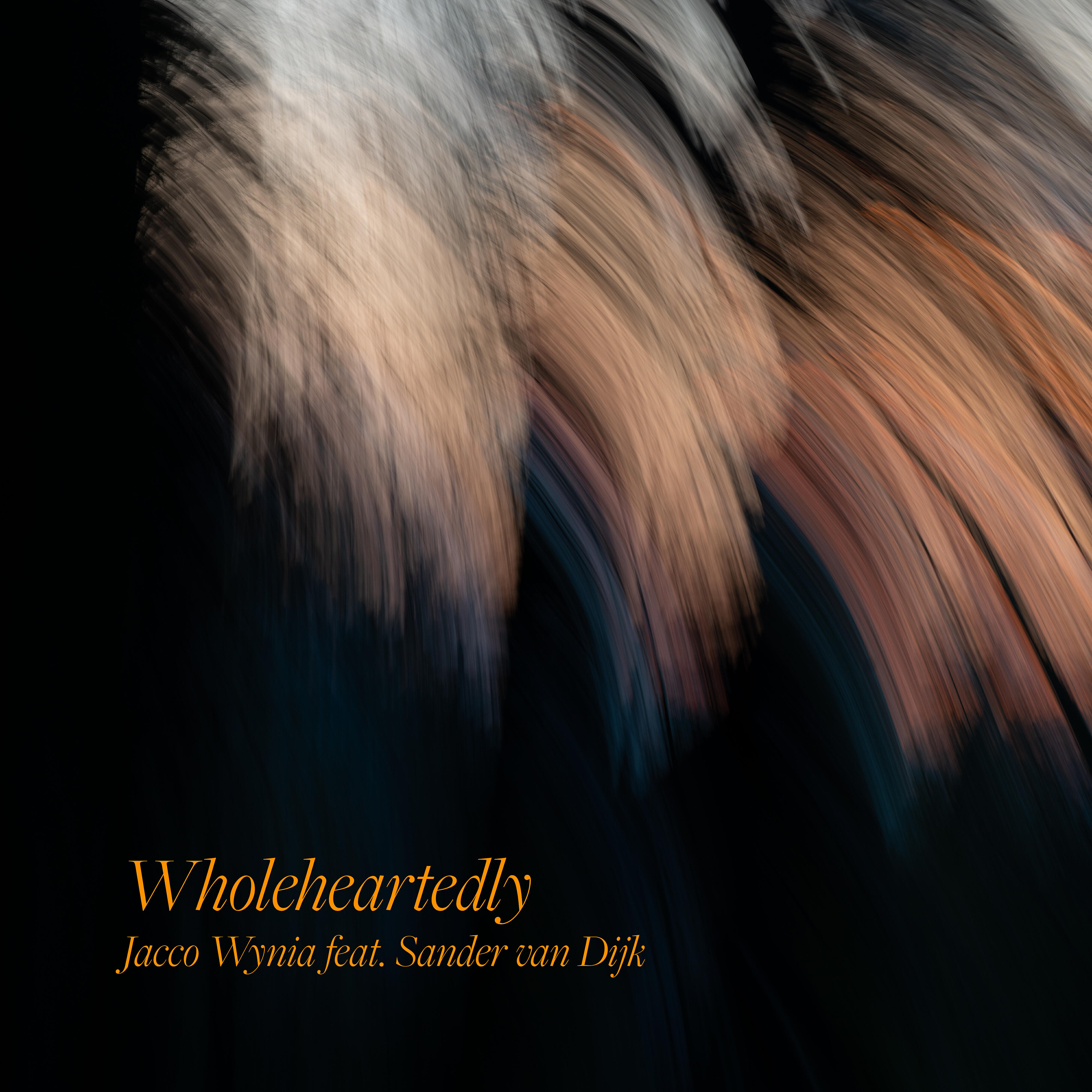 Трек Wholeheartedly (feat. Sander van Dijk)