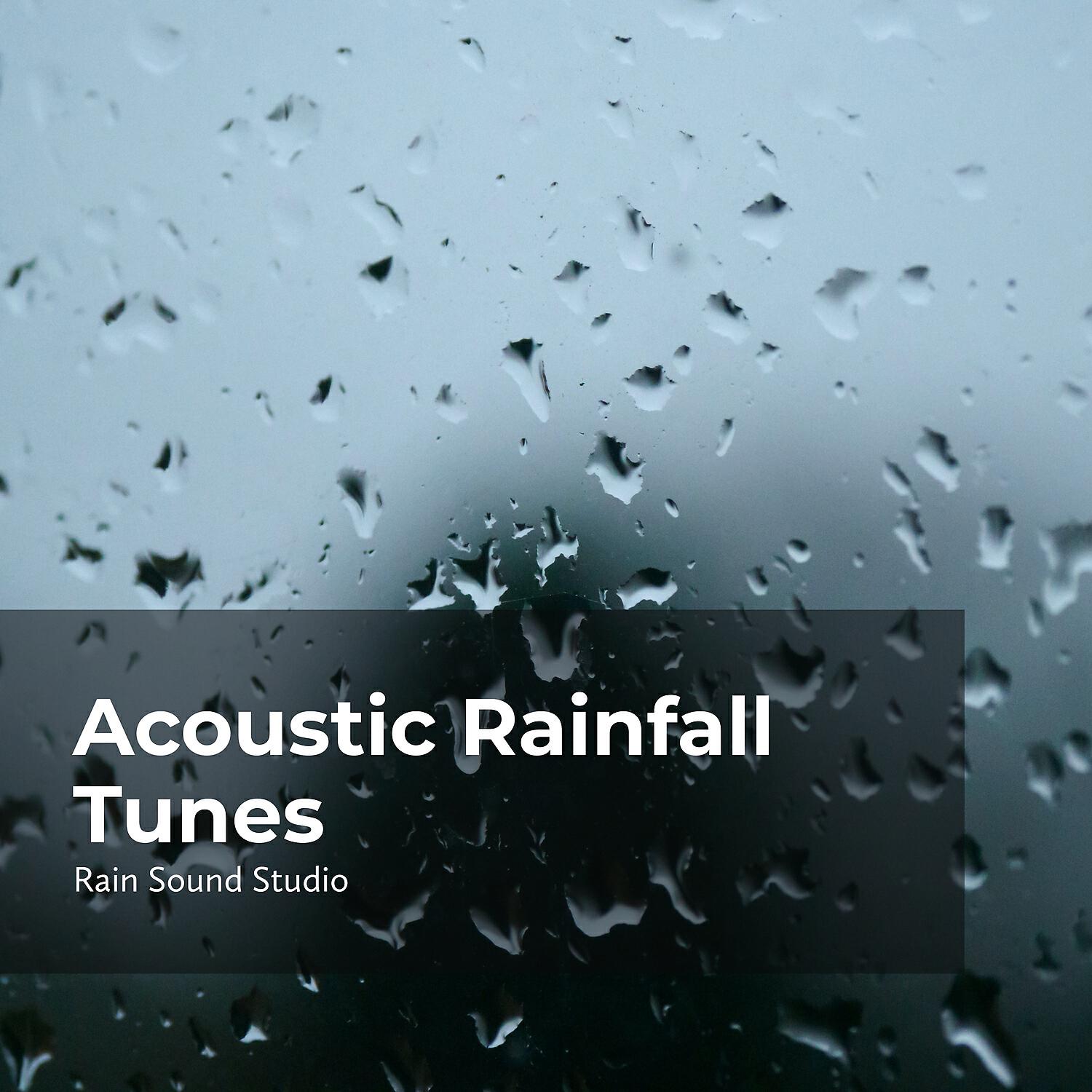 Релиз Acoustic Rainfall Tunes