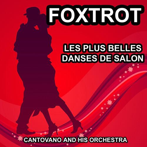 Постер альбома Les plus belles danses de salon : Foxtrot