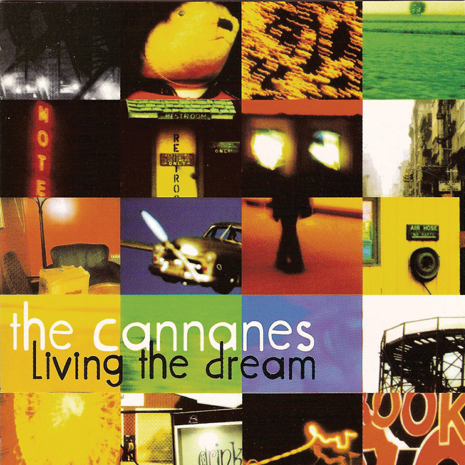 Релиз Living the Dream