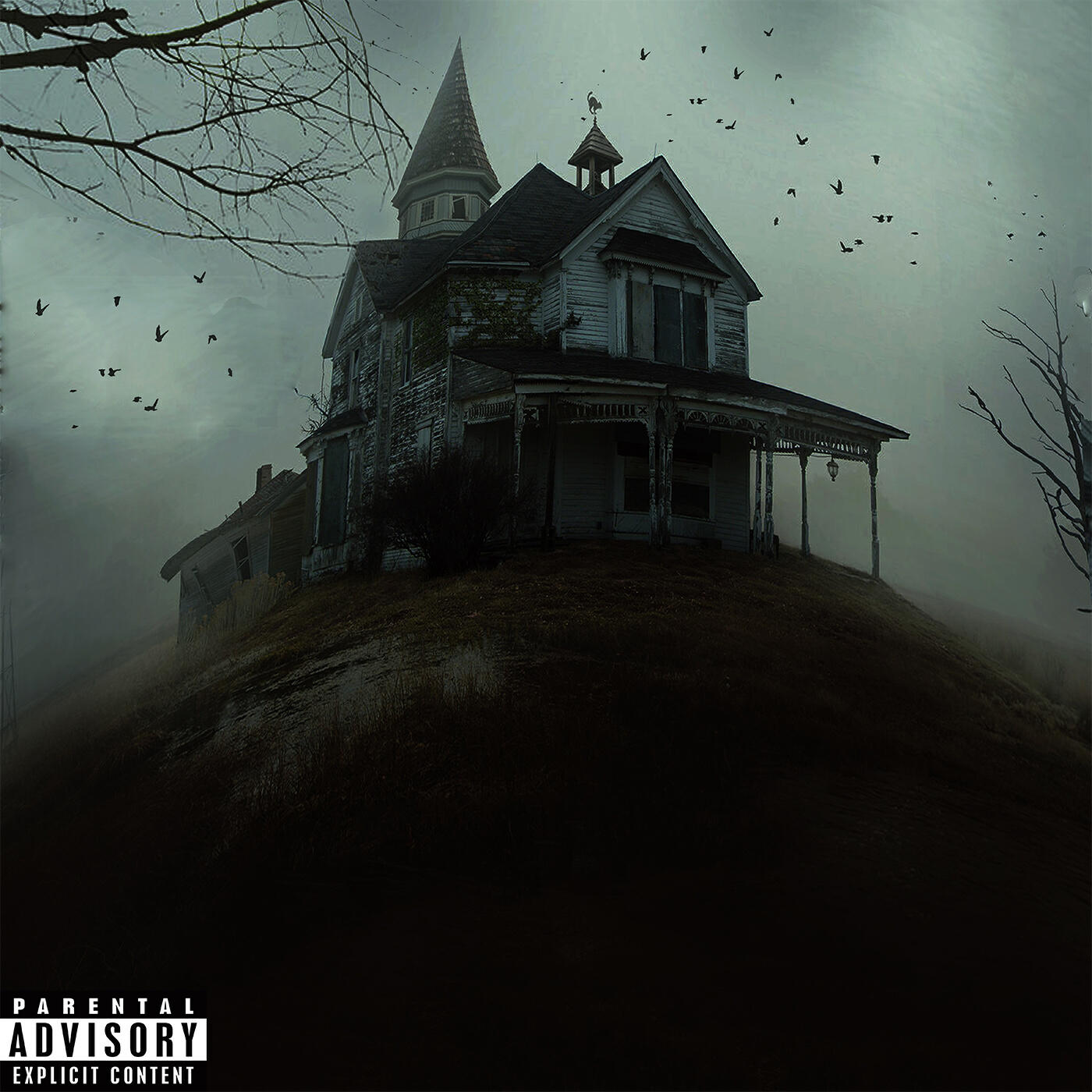 Релиз The Silent Valley