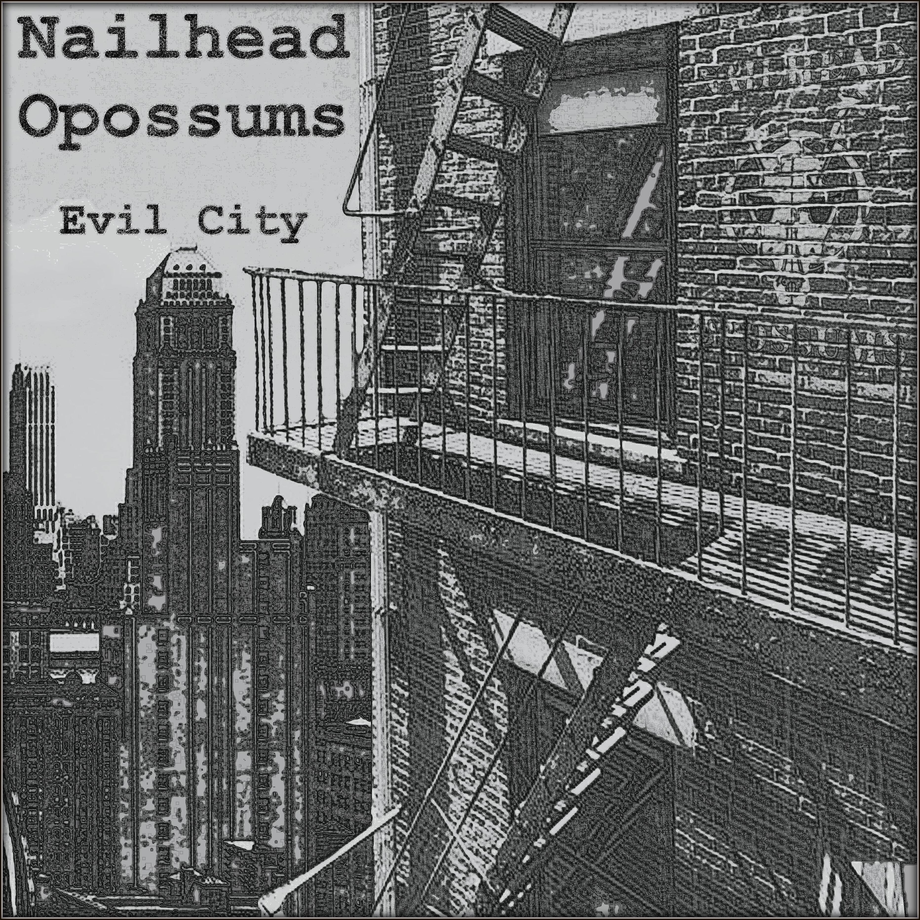 Nailhead Opossums