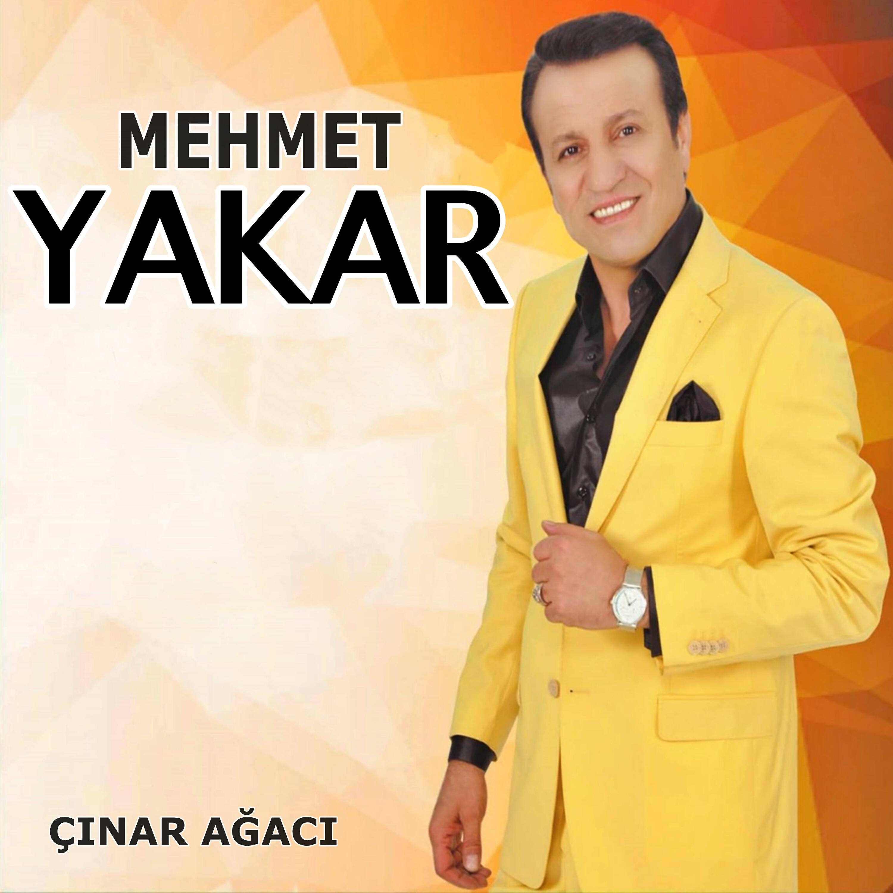Релиз Çınar Ağacı