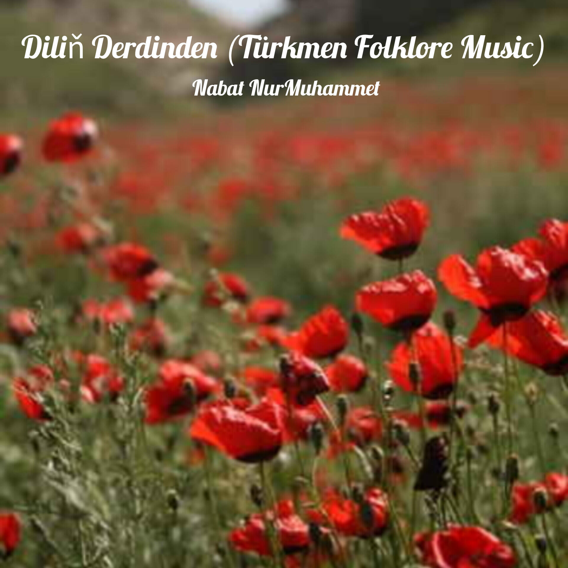 Релиз Diliň Derdinden