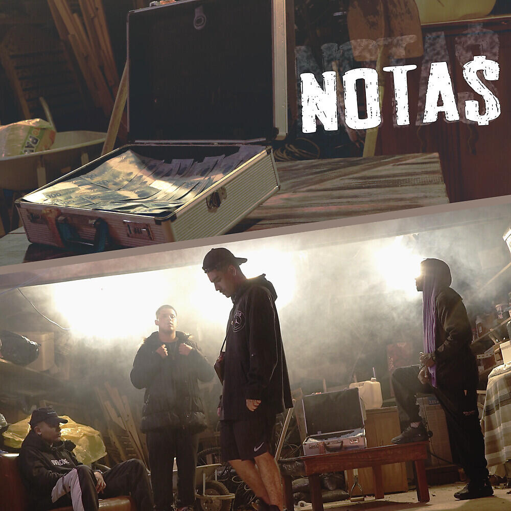 Релиз Notas