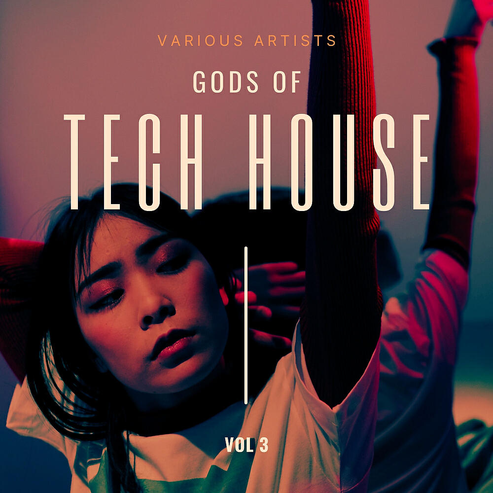 Релиз Gods of Tech House, Vol. 3
