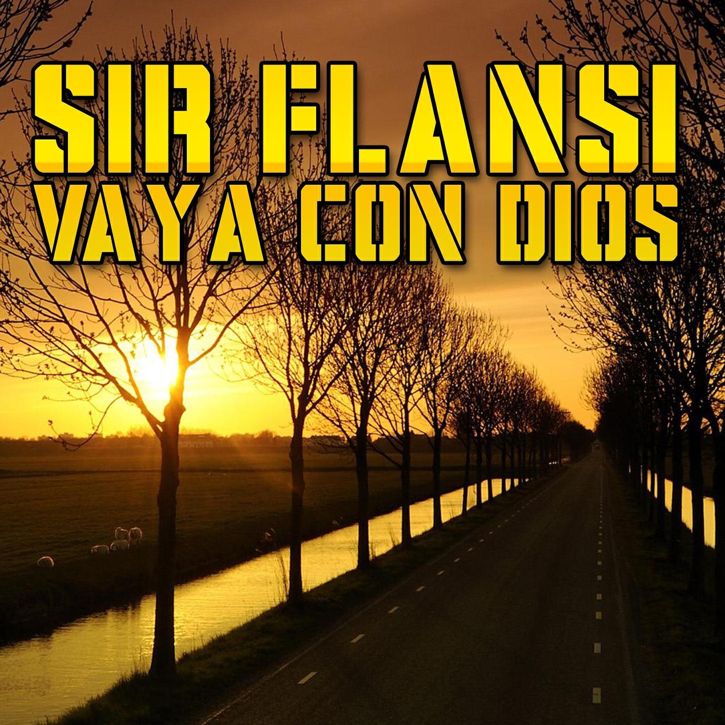 Релиз Vaya Con Dios