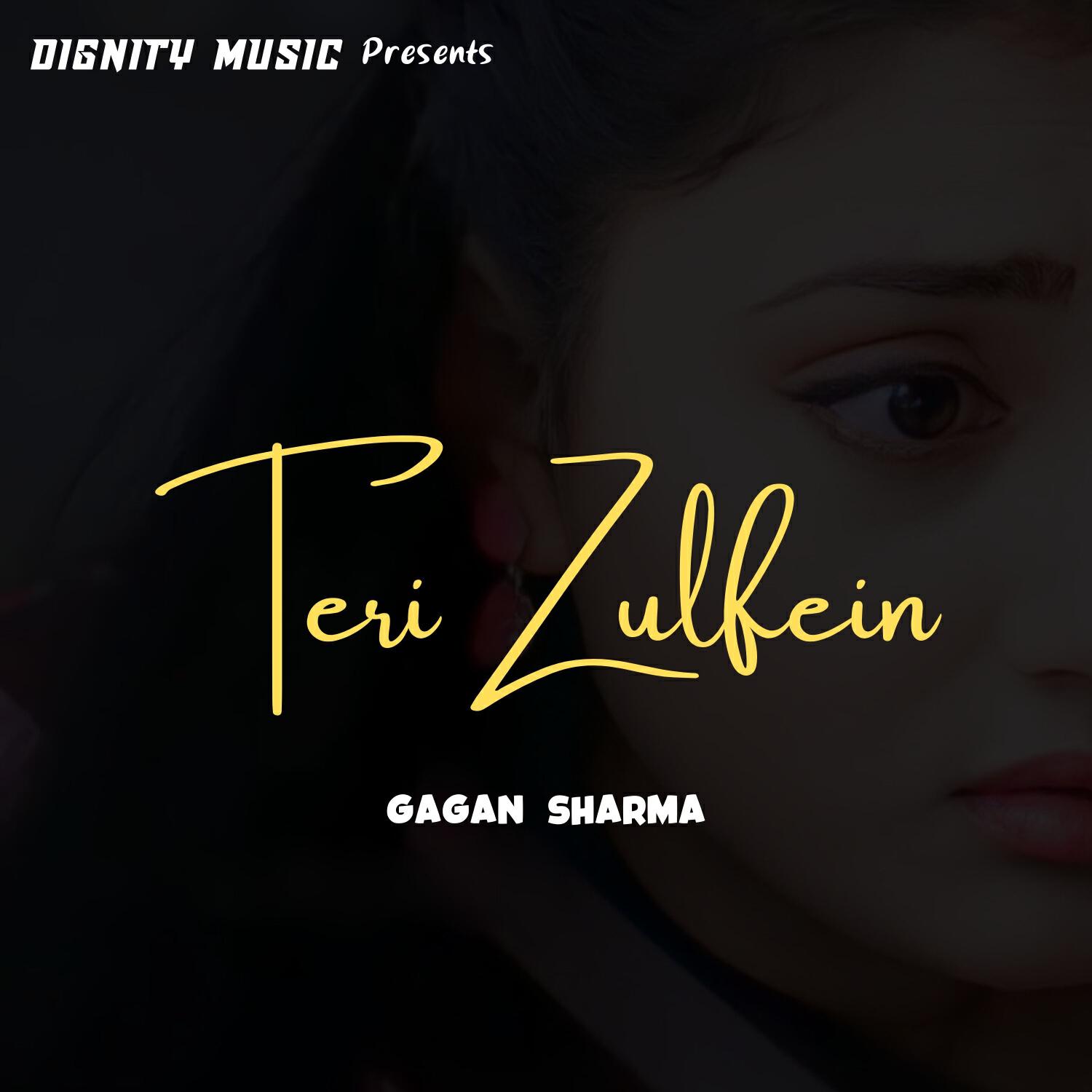 Релиз Teri Zulfein