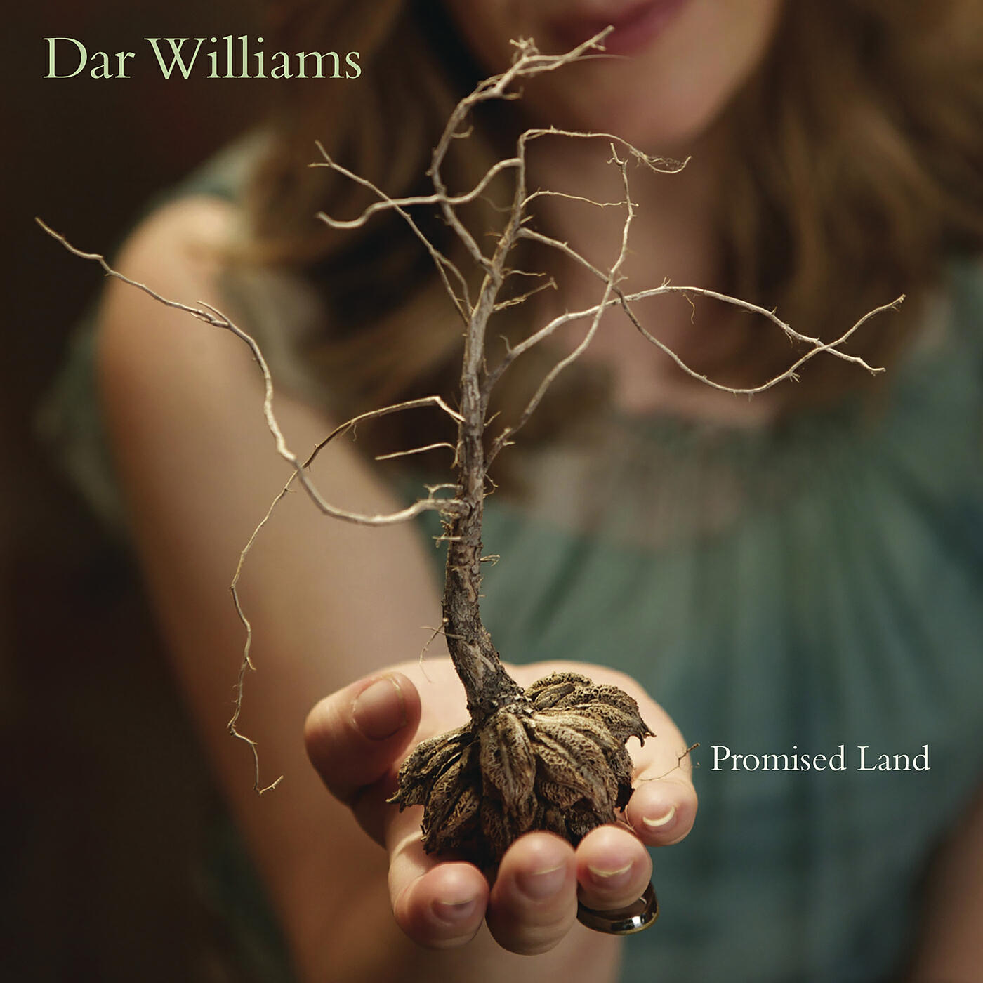 Релиз Promised Land
