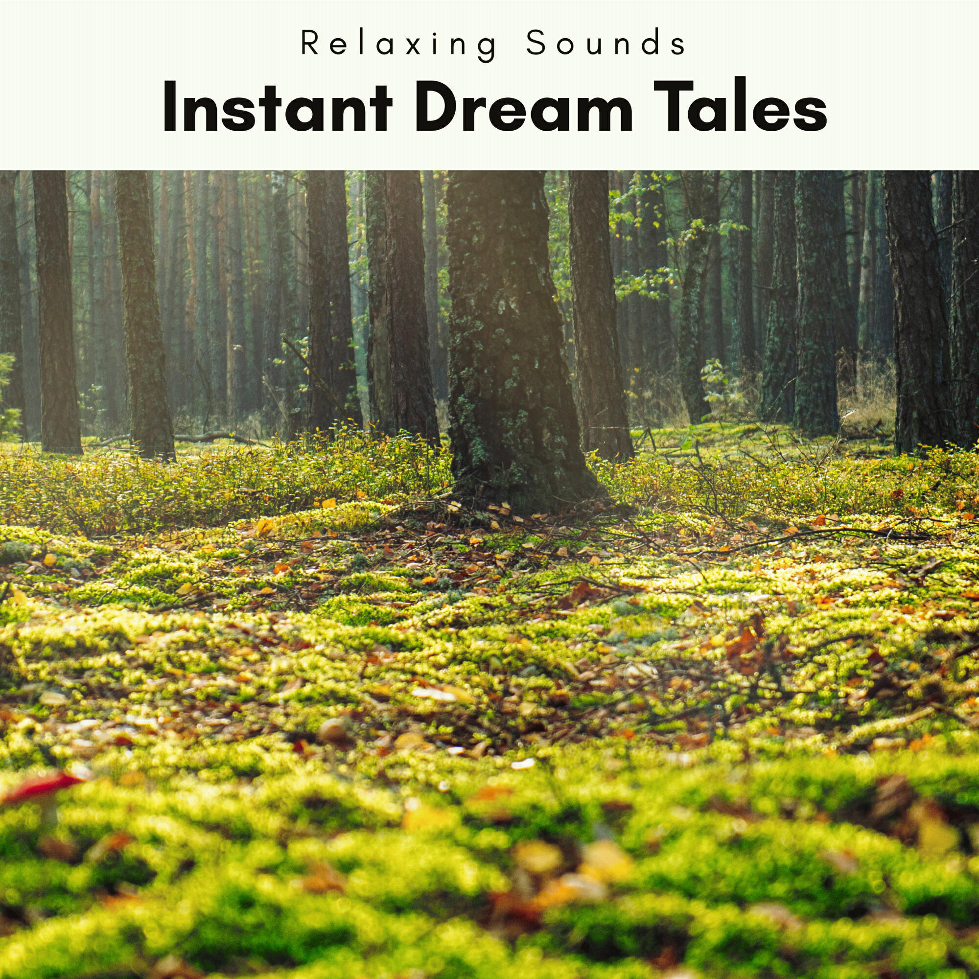 Релиз 1 Instant Dream Tales