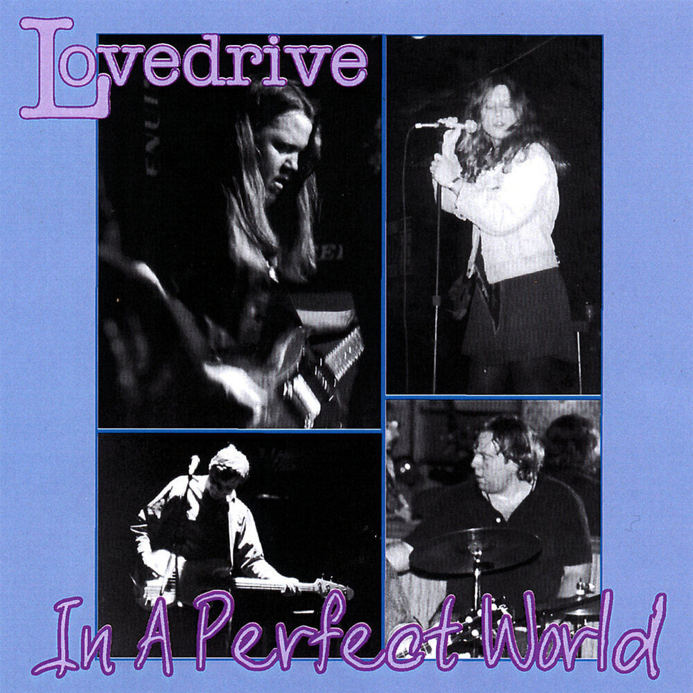 Релиз In A Perfect World