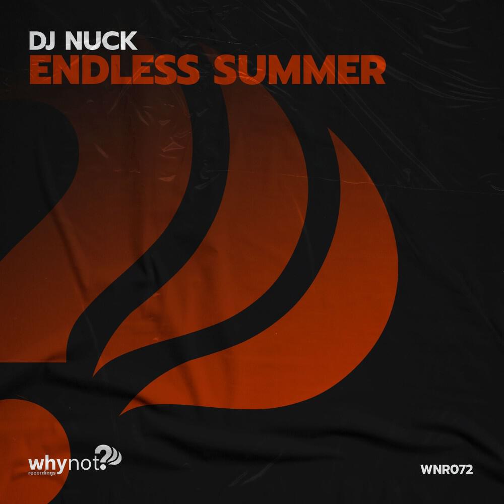 Релиз Endless Summer