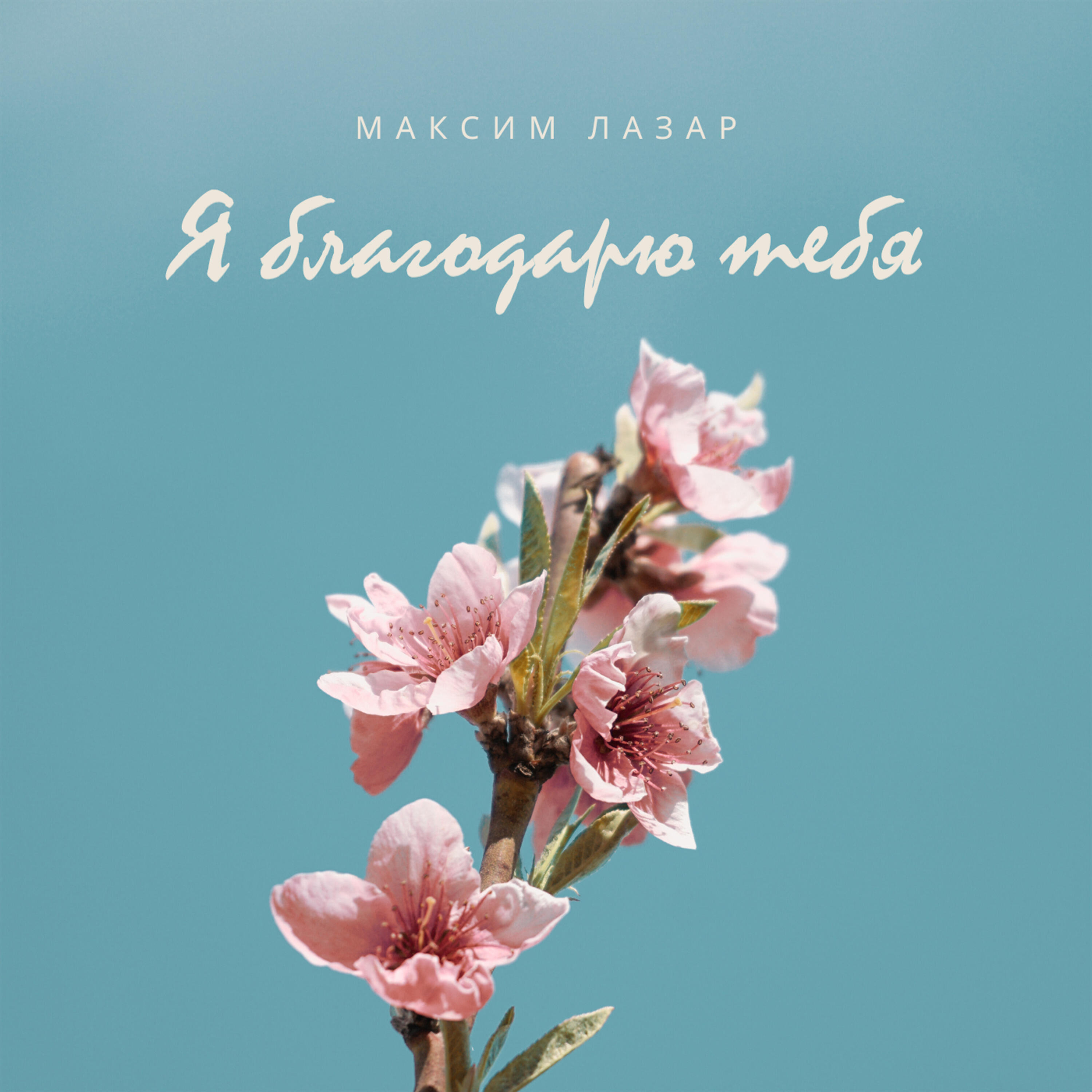 Релиз Я благодарю тебя