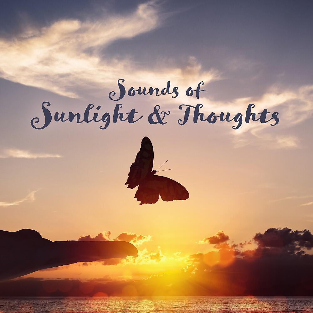 Релиз Sounds of Sunlight & Thoughts