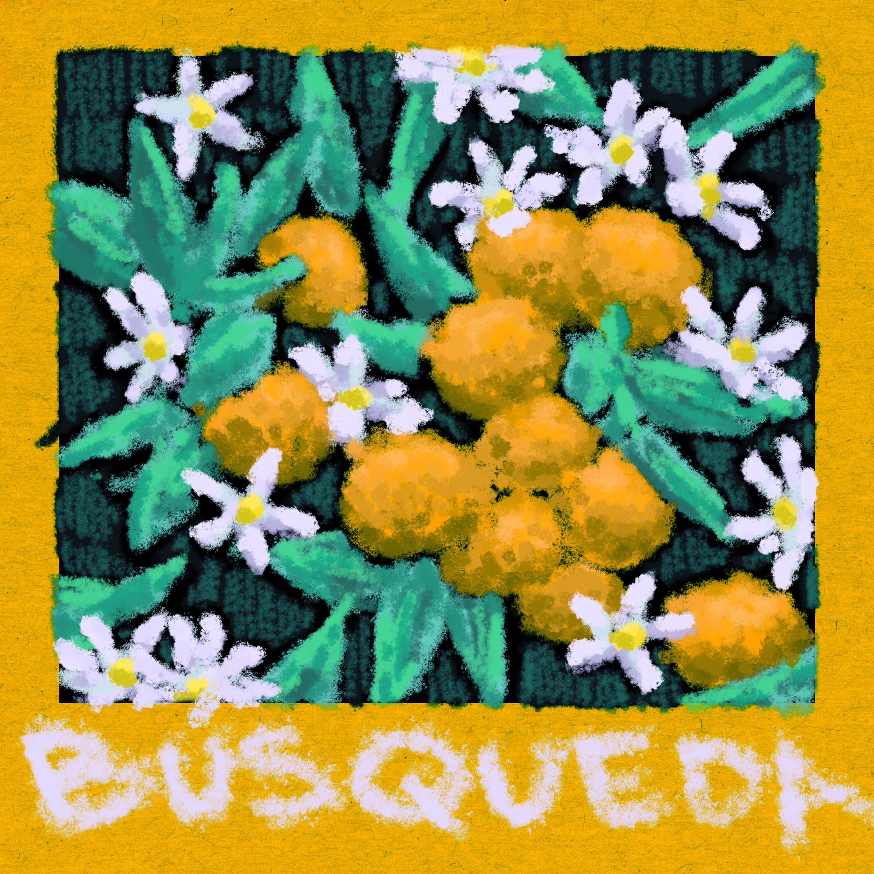 Релиз Búsqueda