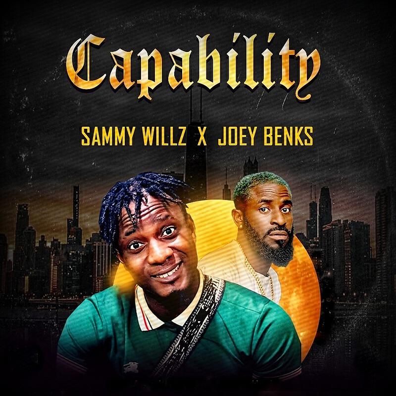 Релиз Capability