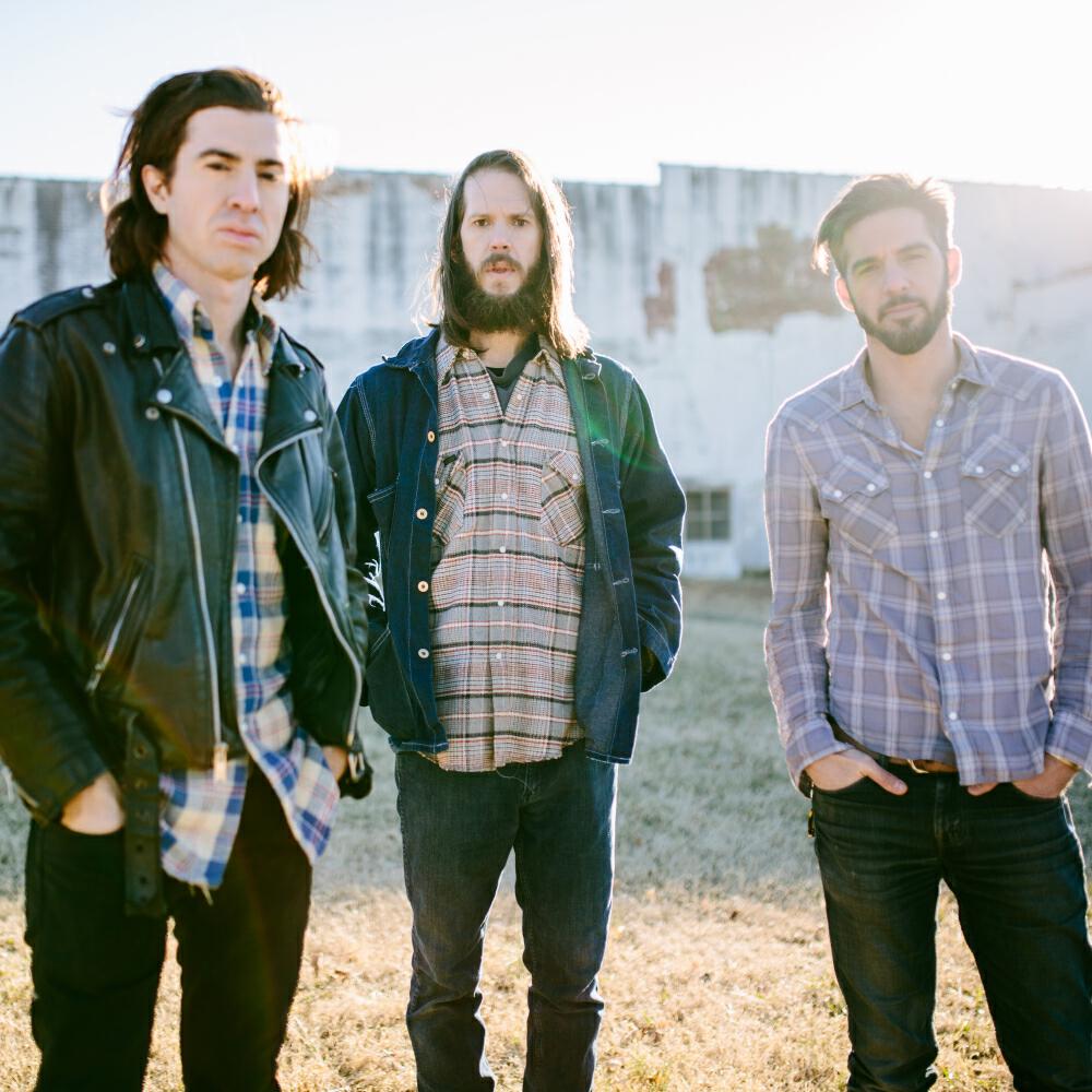 The Whigs