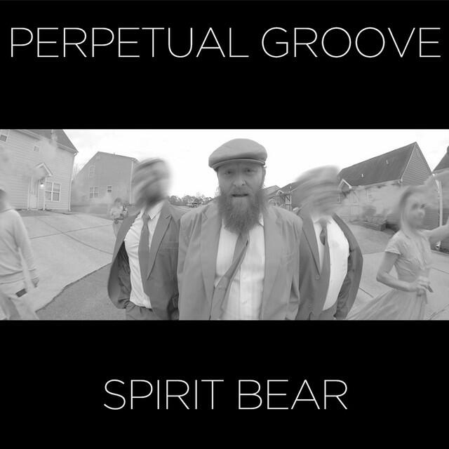 Релиз Spirit Bear