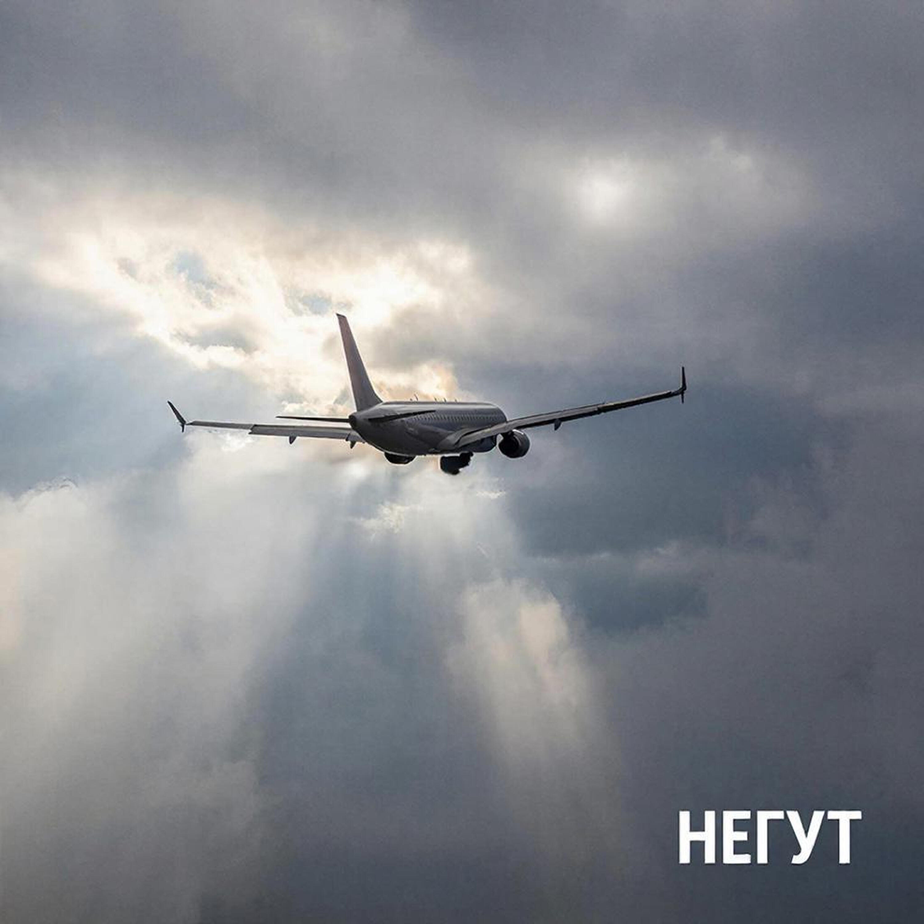 Негут