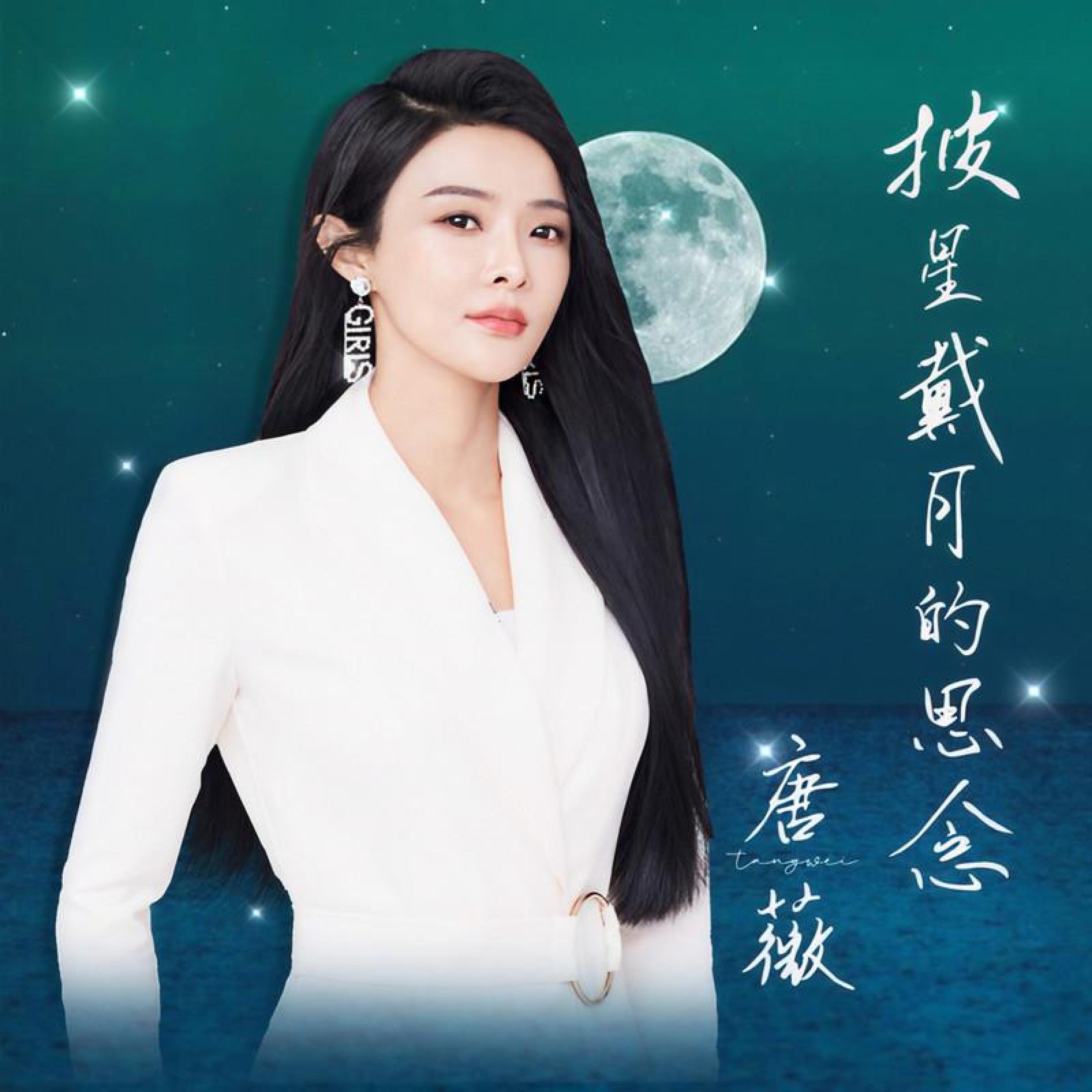 Релиз 披星戴月的思念