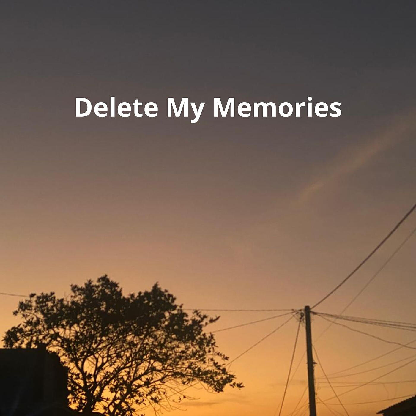Релиз Delete My Memories
