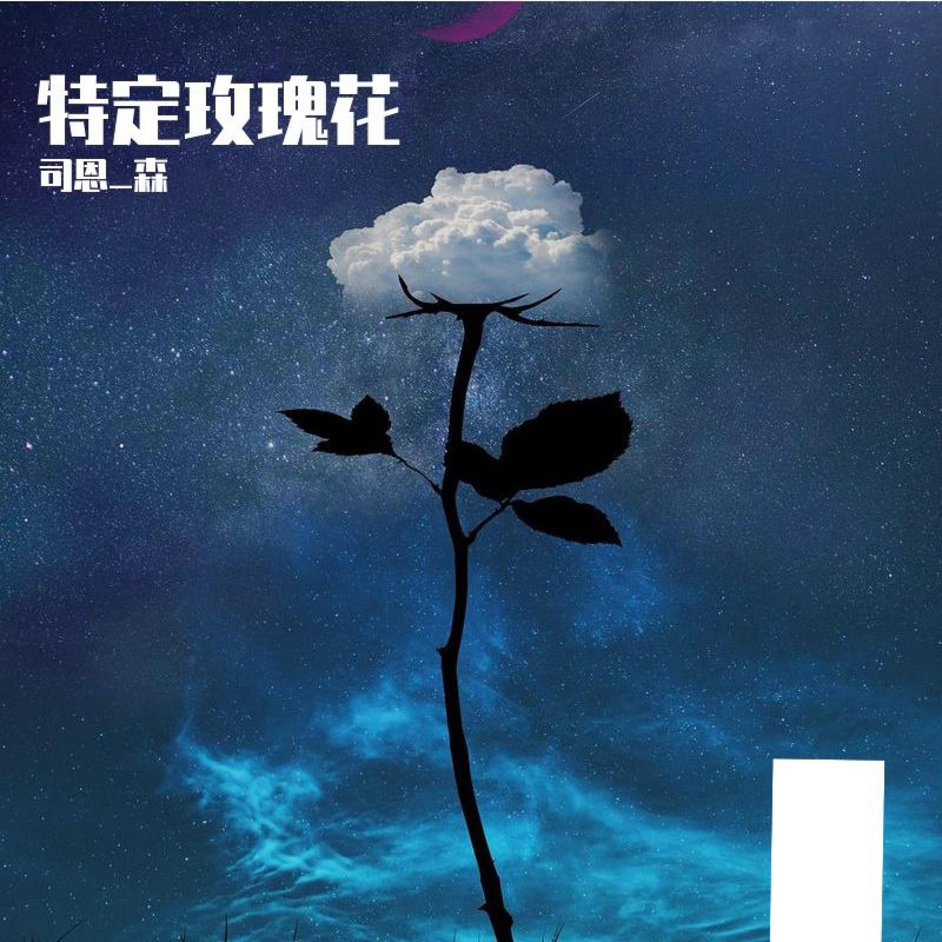 黄焖鸡大王
