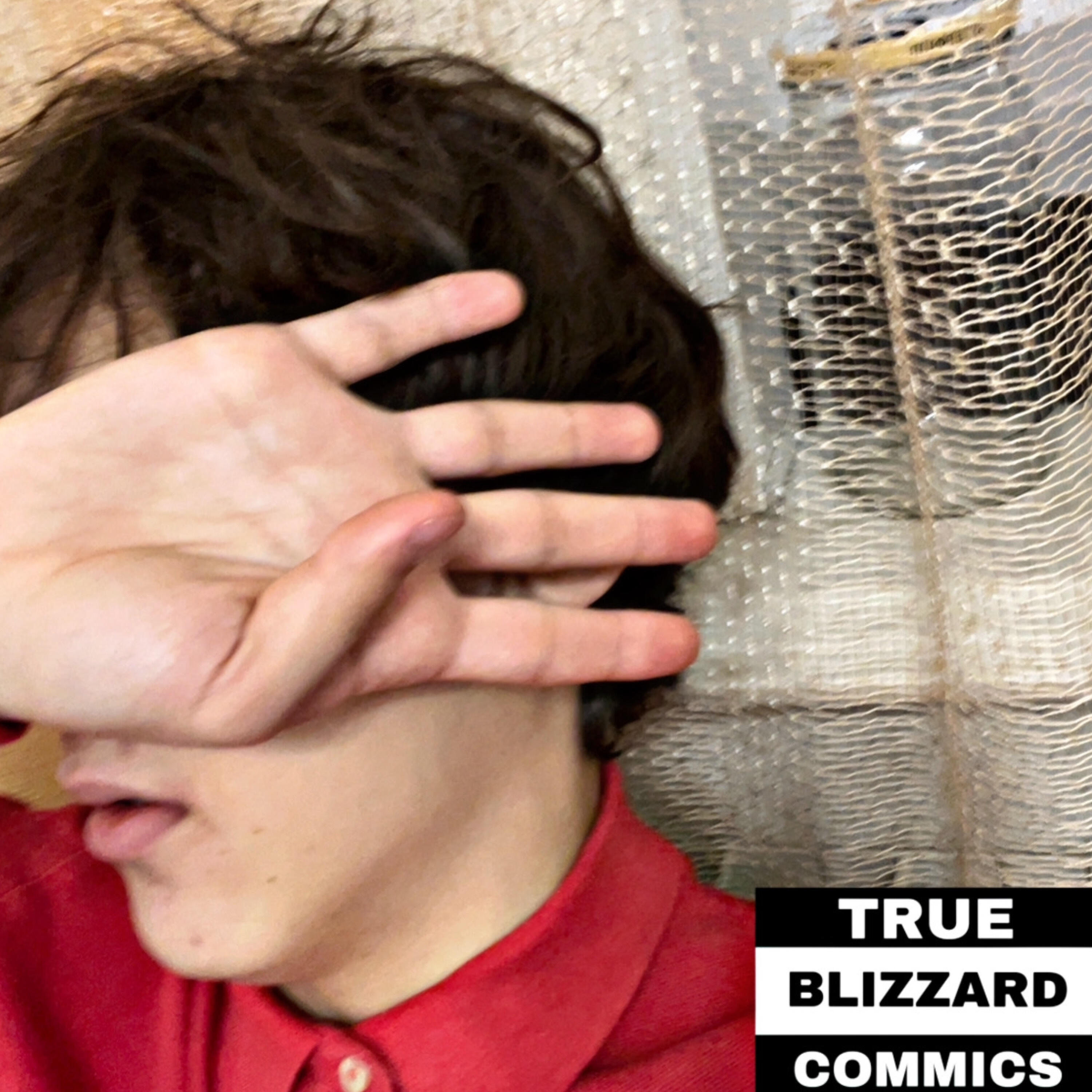 Релиз True Blizzard
