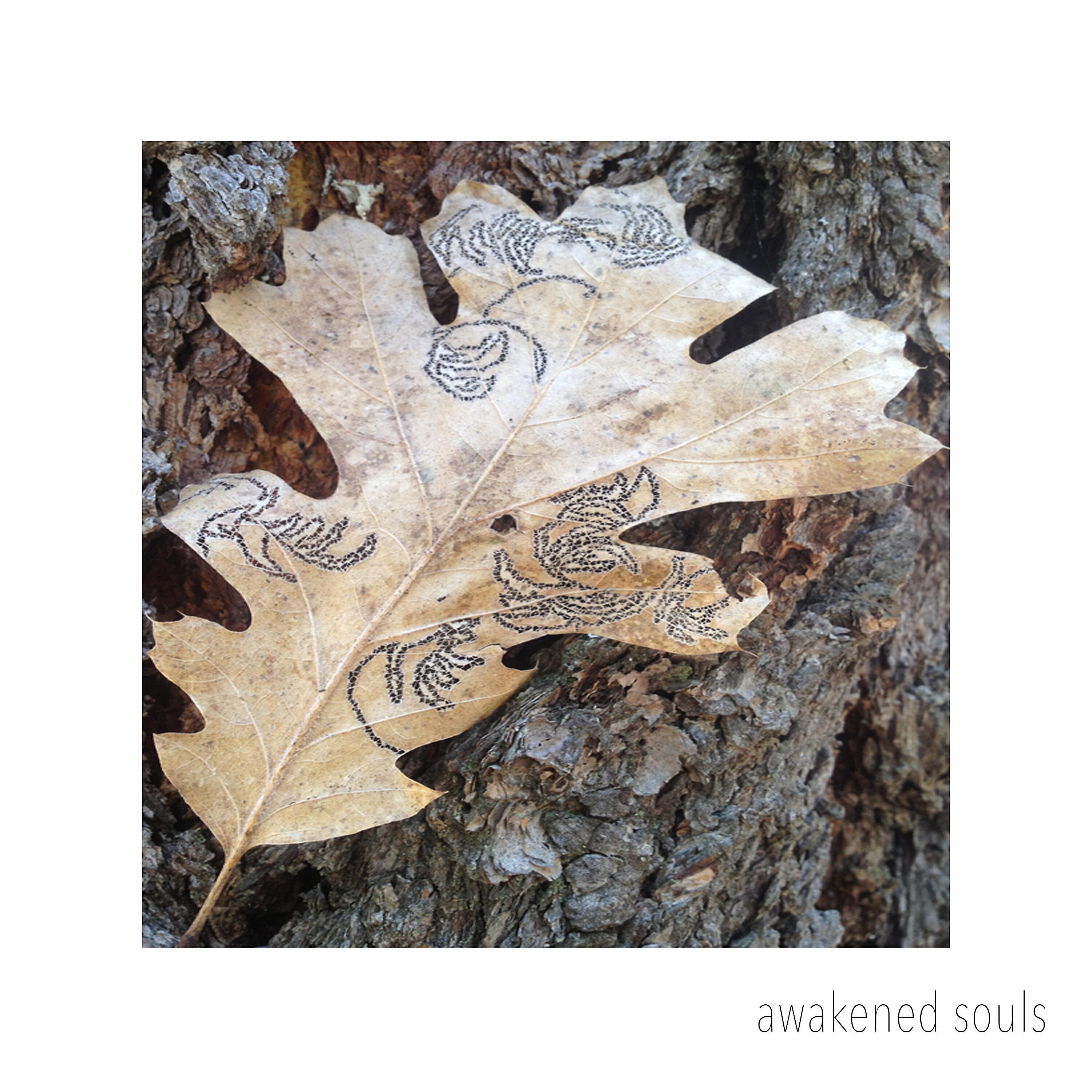 Релиз Awakened Souls