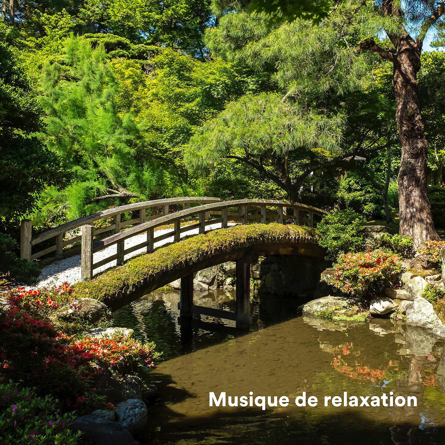Релиз Musique de relaxation