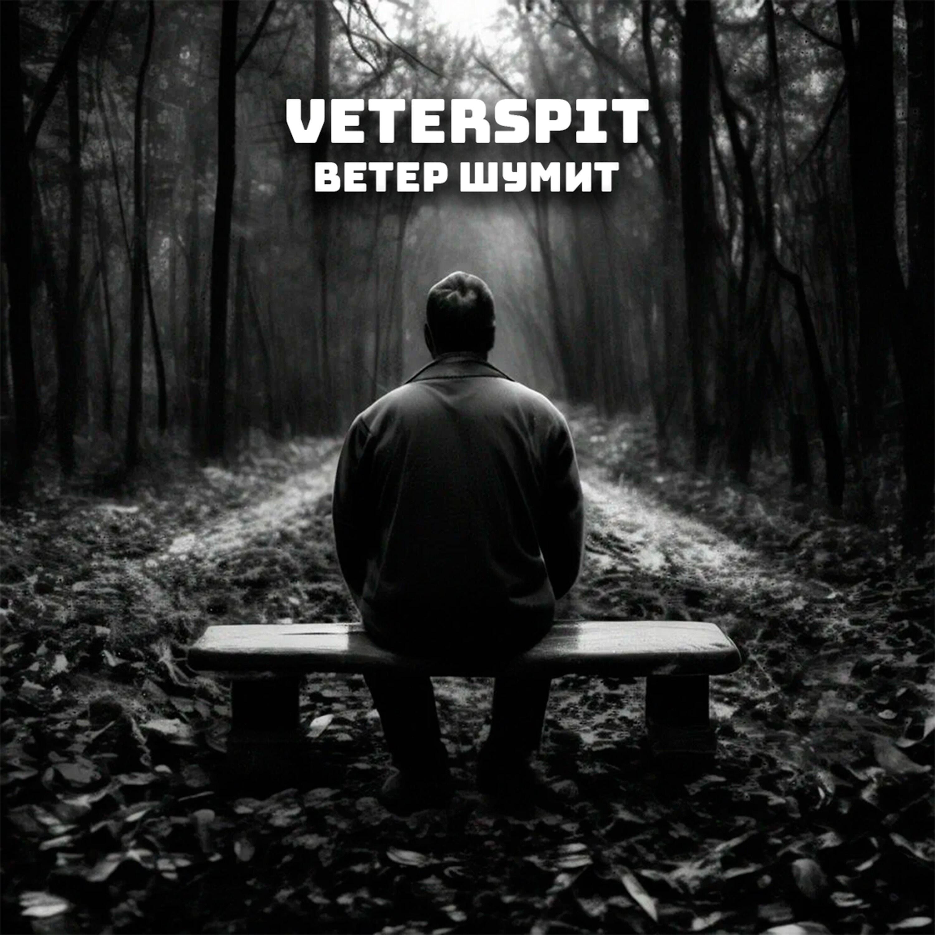 Релиз Ветер шумит