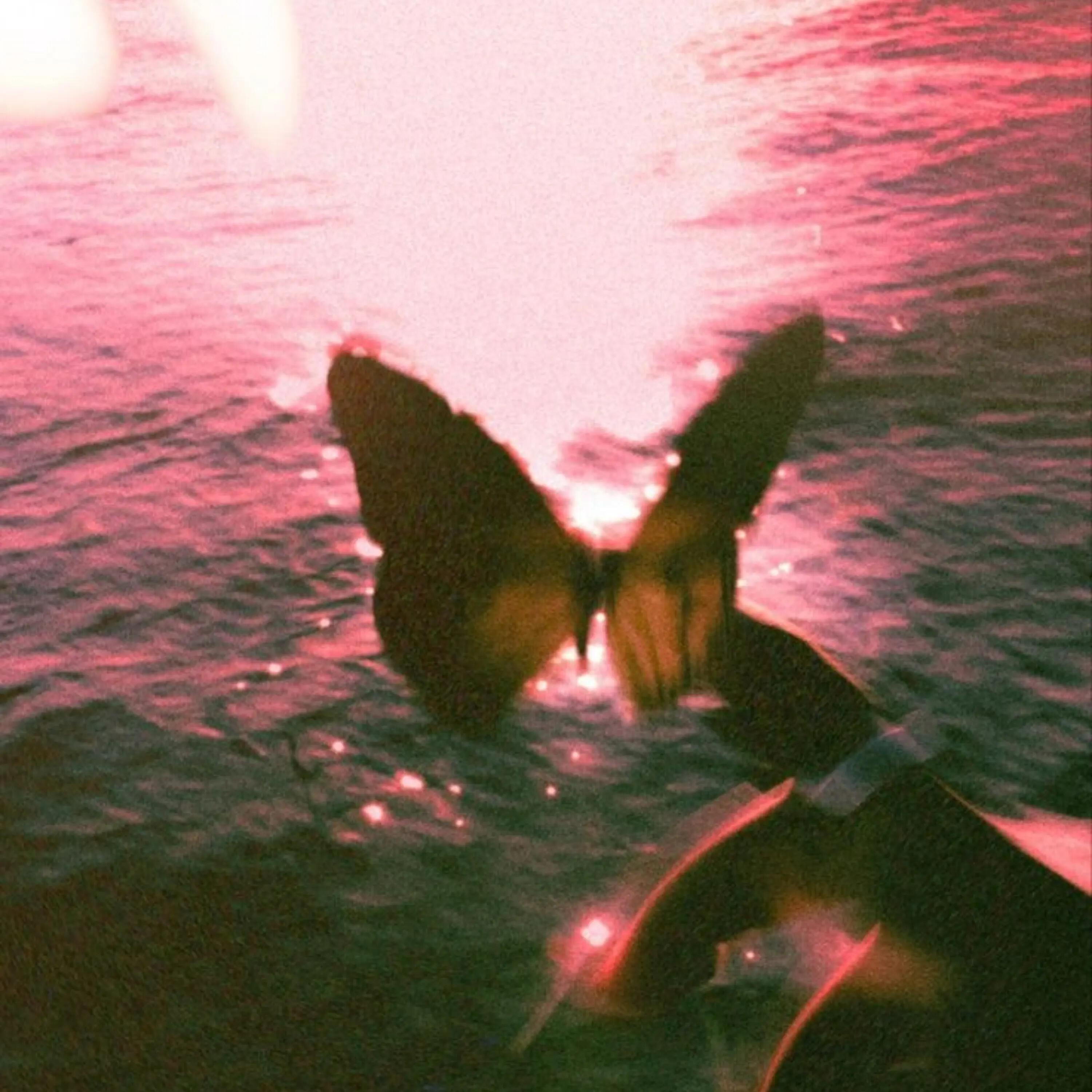 Релиз loneliness