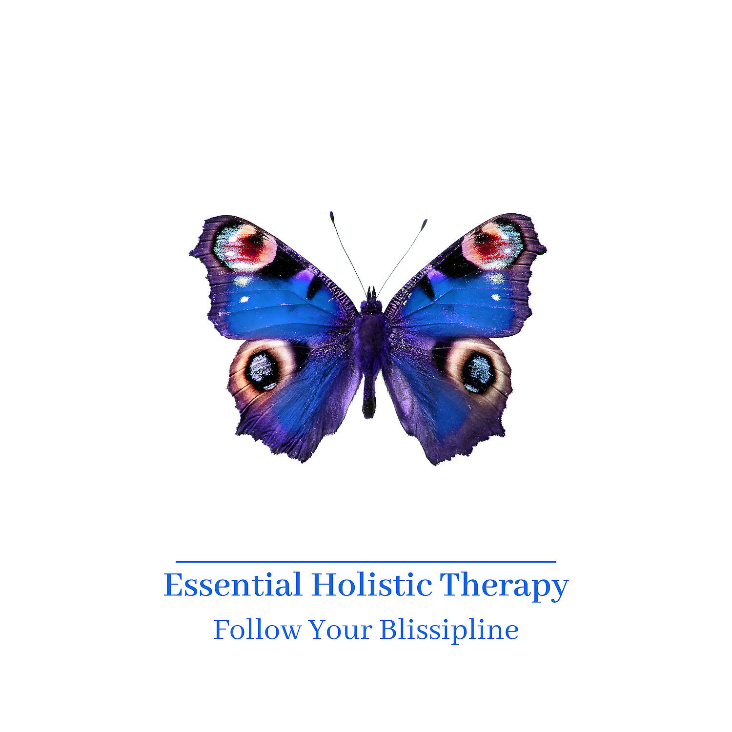 Релиз Essential Holistic Therapy: Follow Your Blissipline