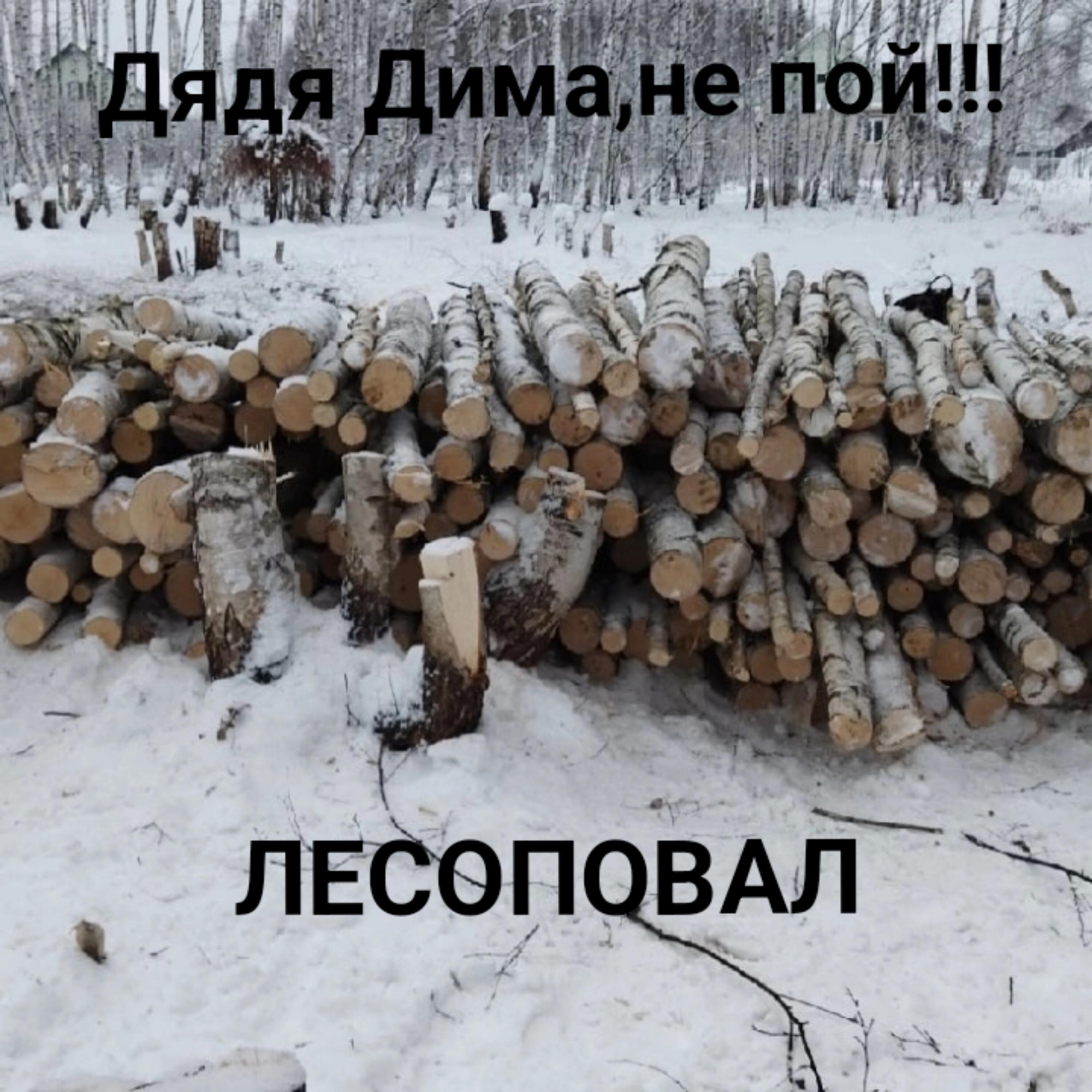 Релиз Лесоповал
