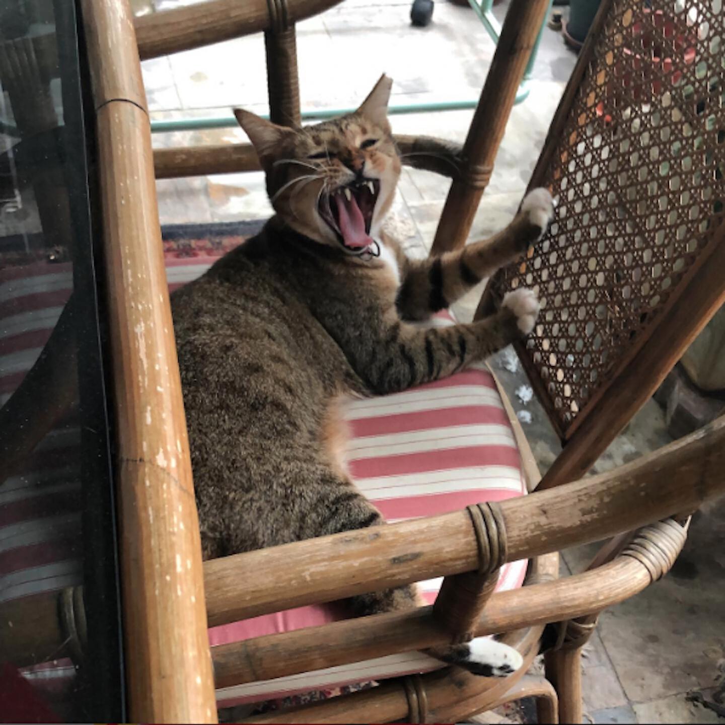 Релиз Selamat Hari Raya (Lemang Ku Kaya Raya)