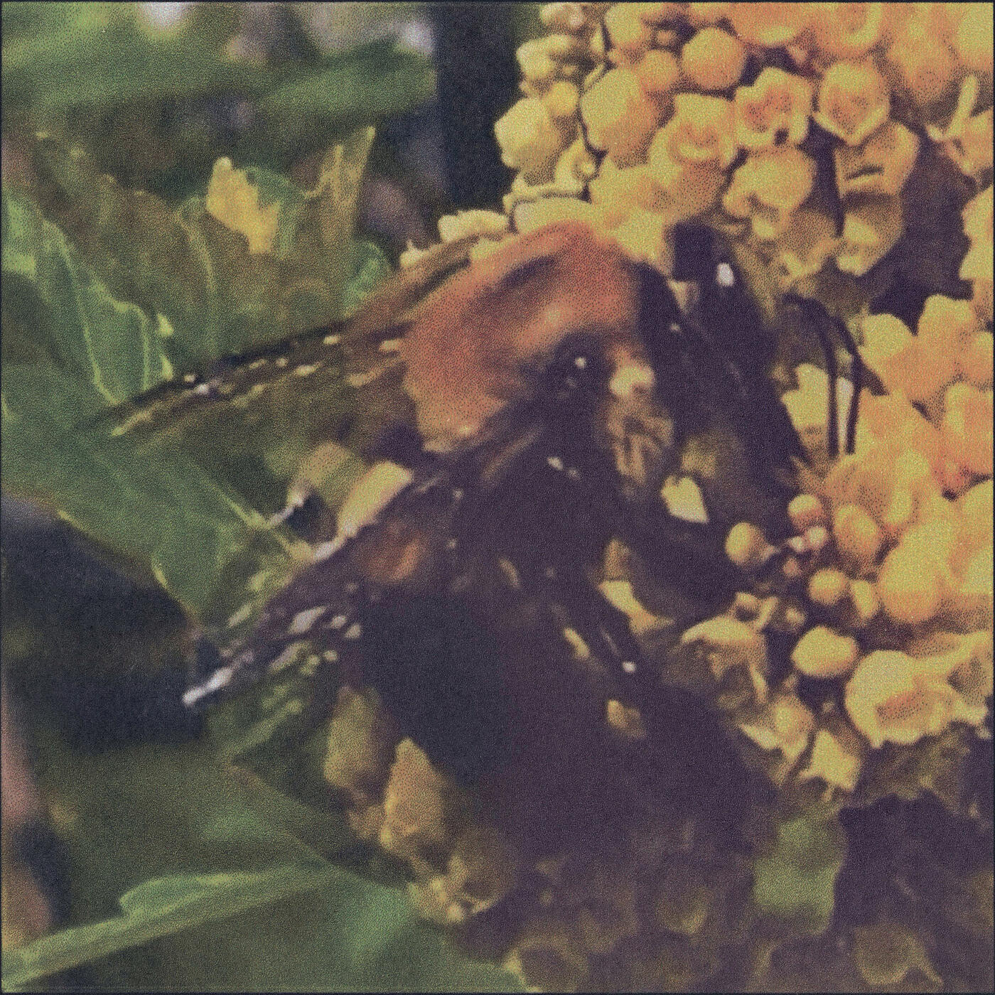 Релиз Get Gone