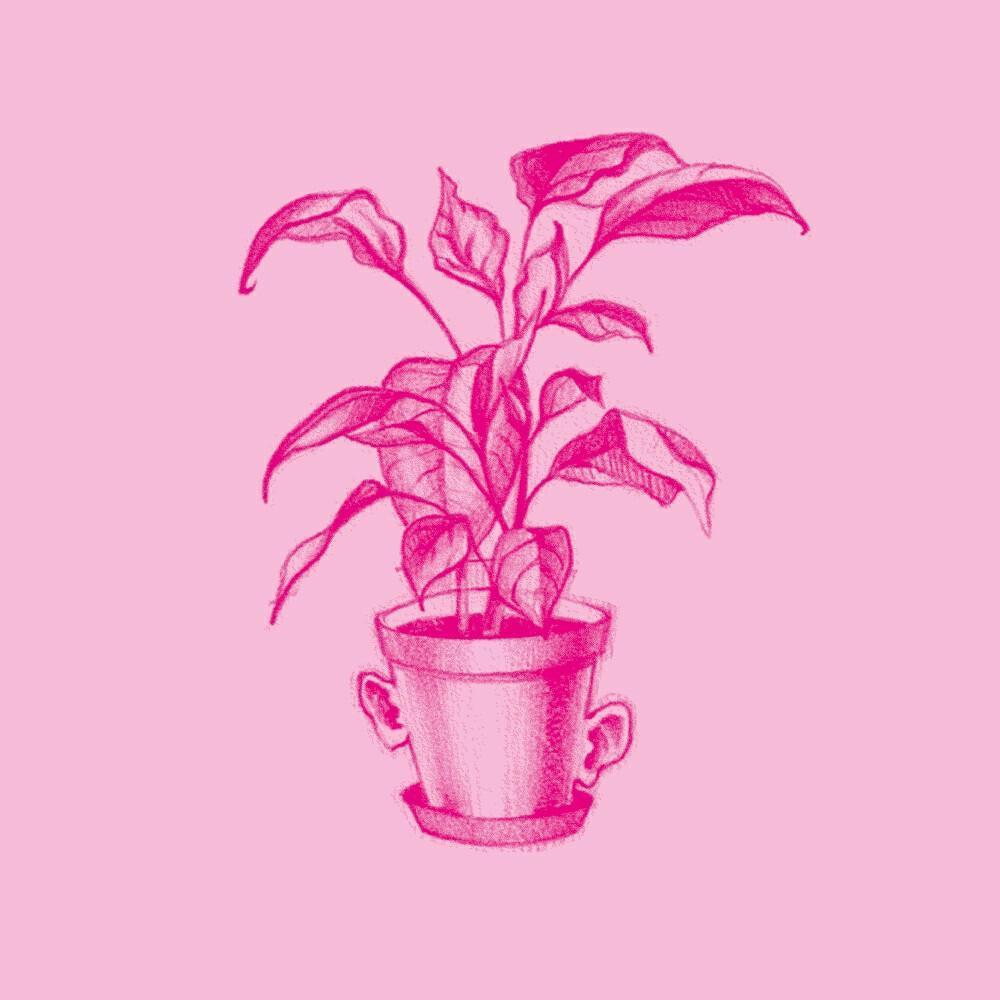Pentola