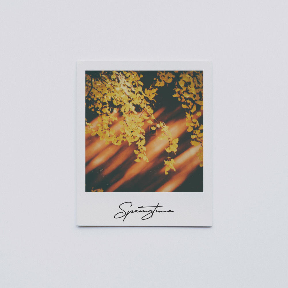 Релиз Springtime