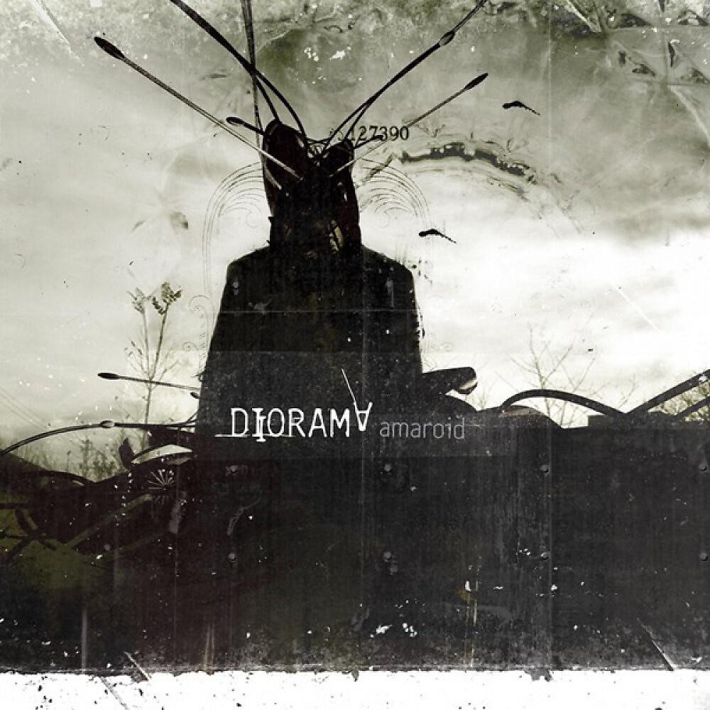 Релиз Amaroid