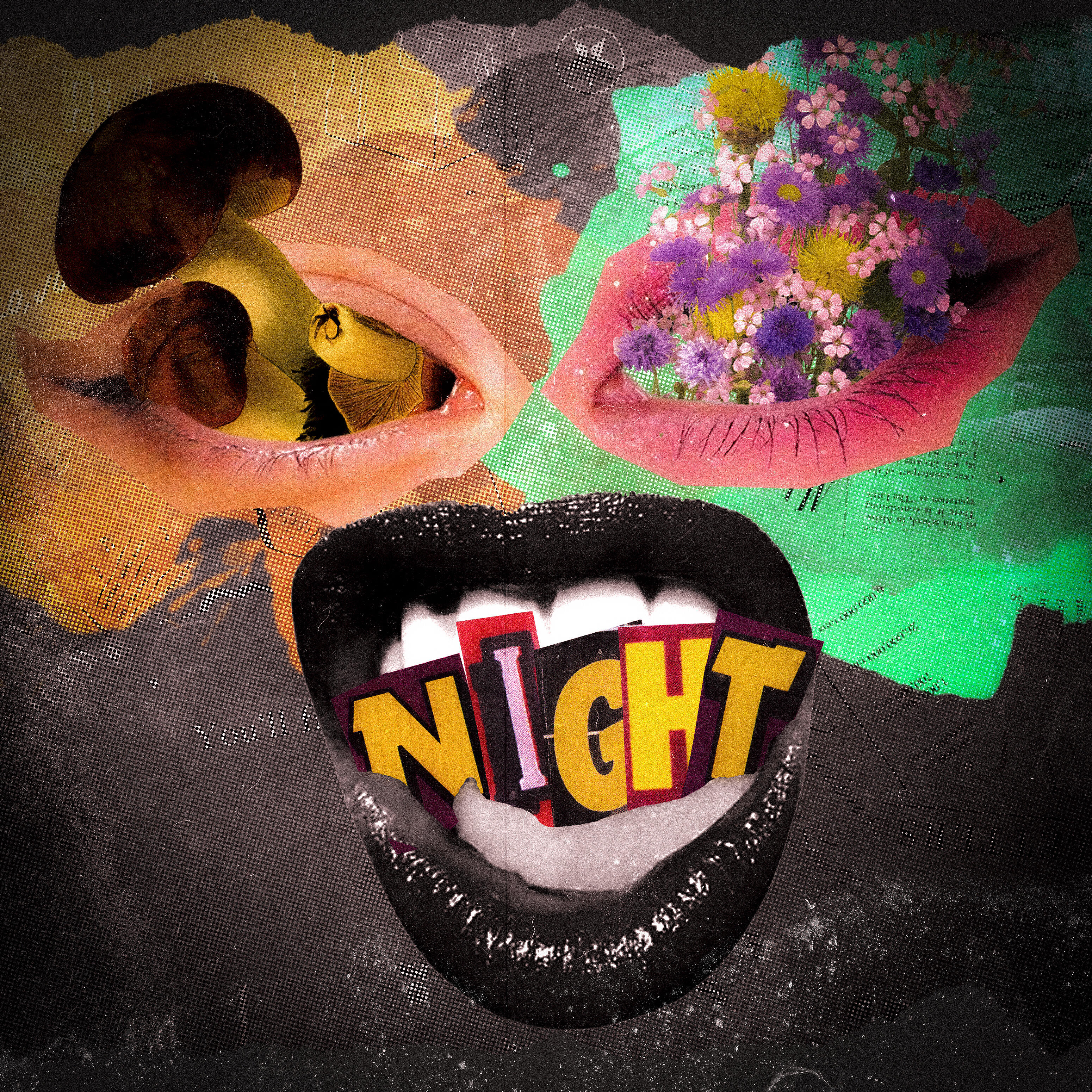 Релиз Night