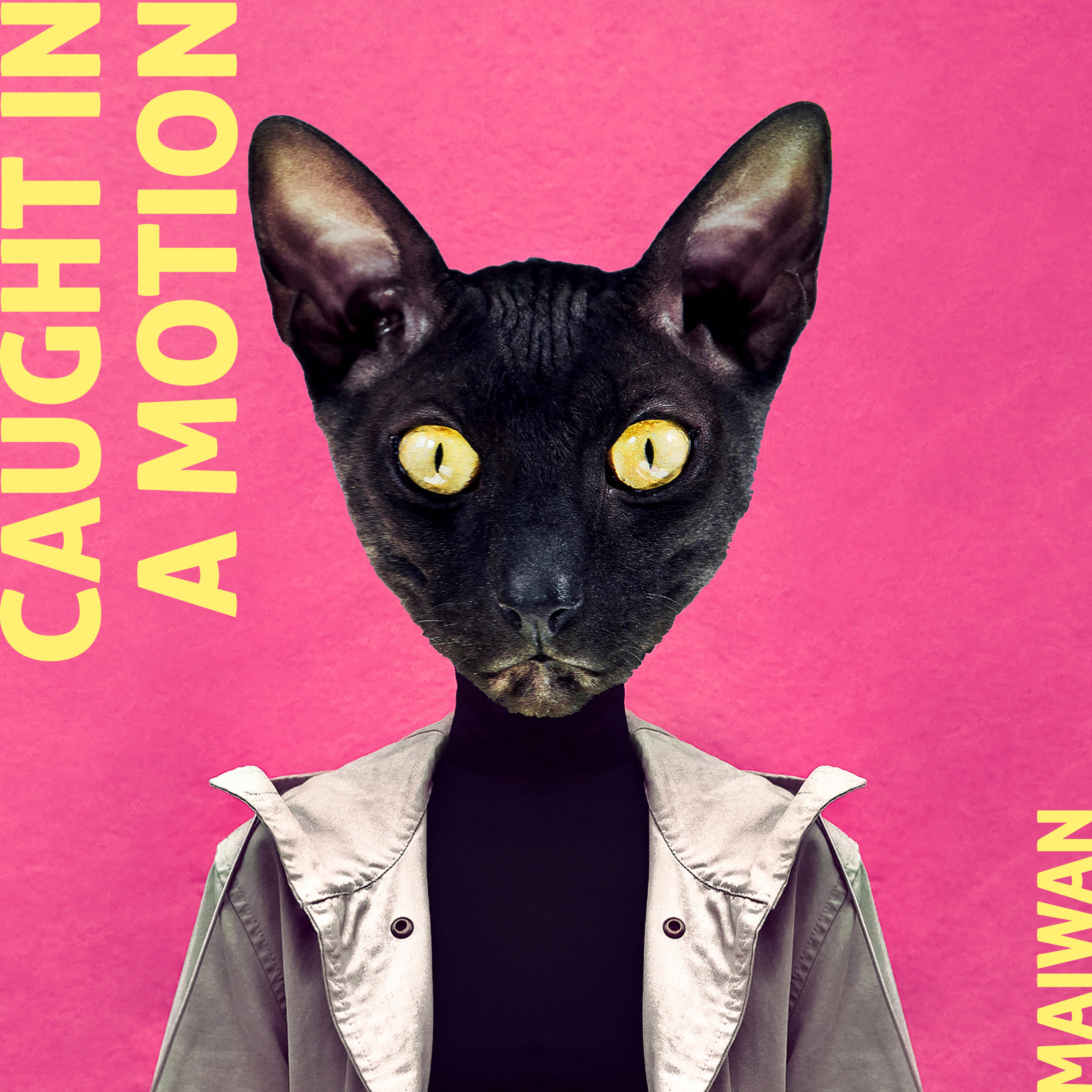 Релиз Caught In A Motion