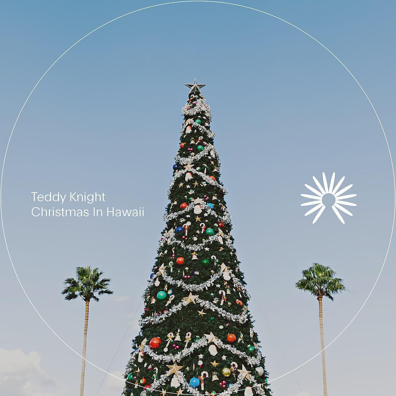 Teddy Knight