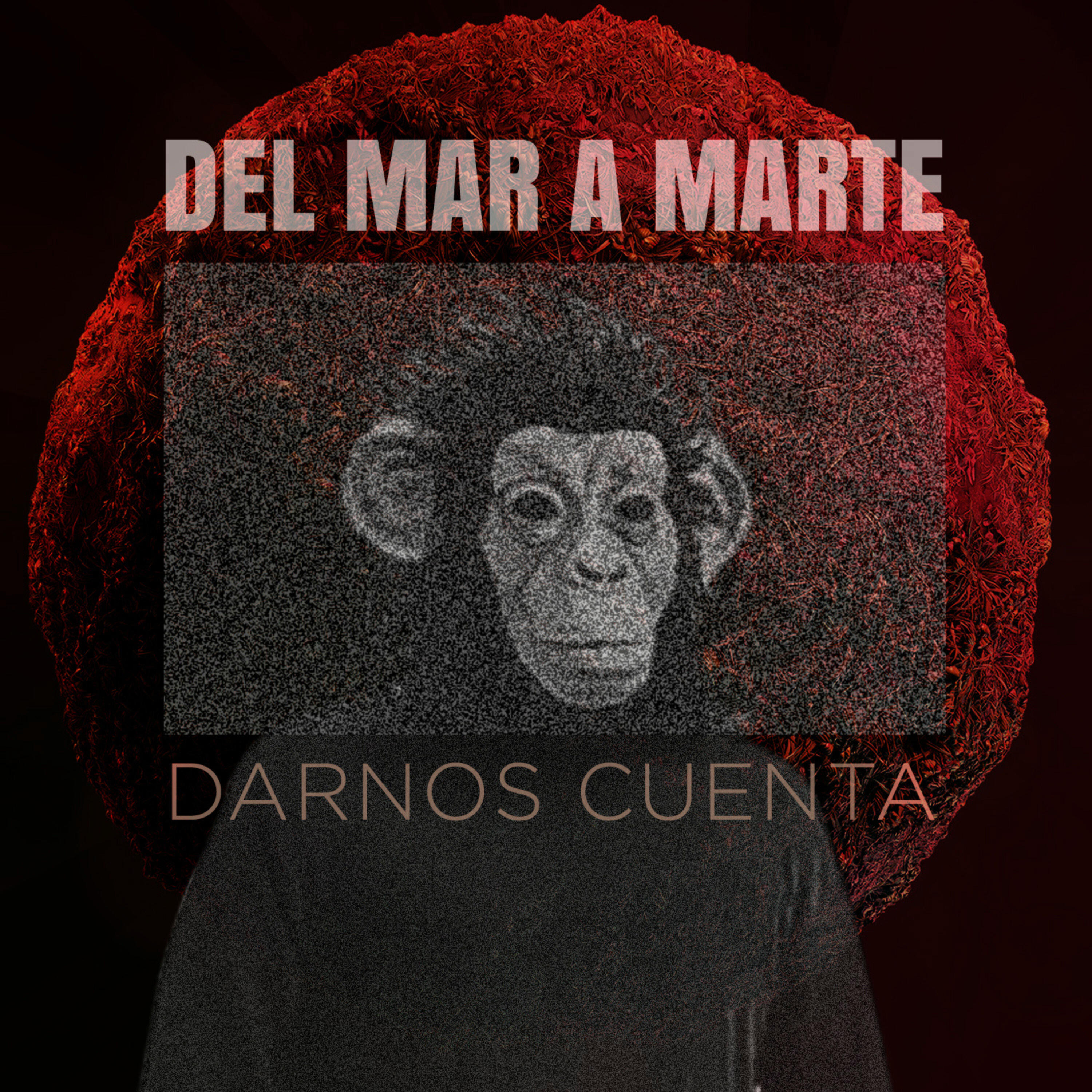 Релиз Darnos Cuenta