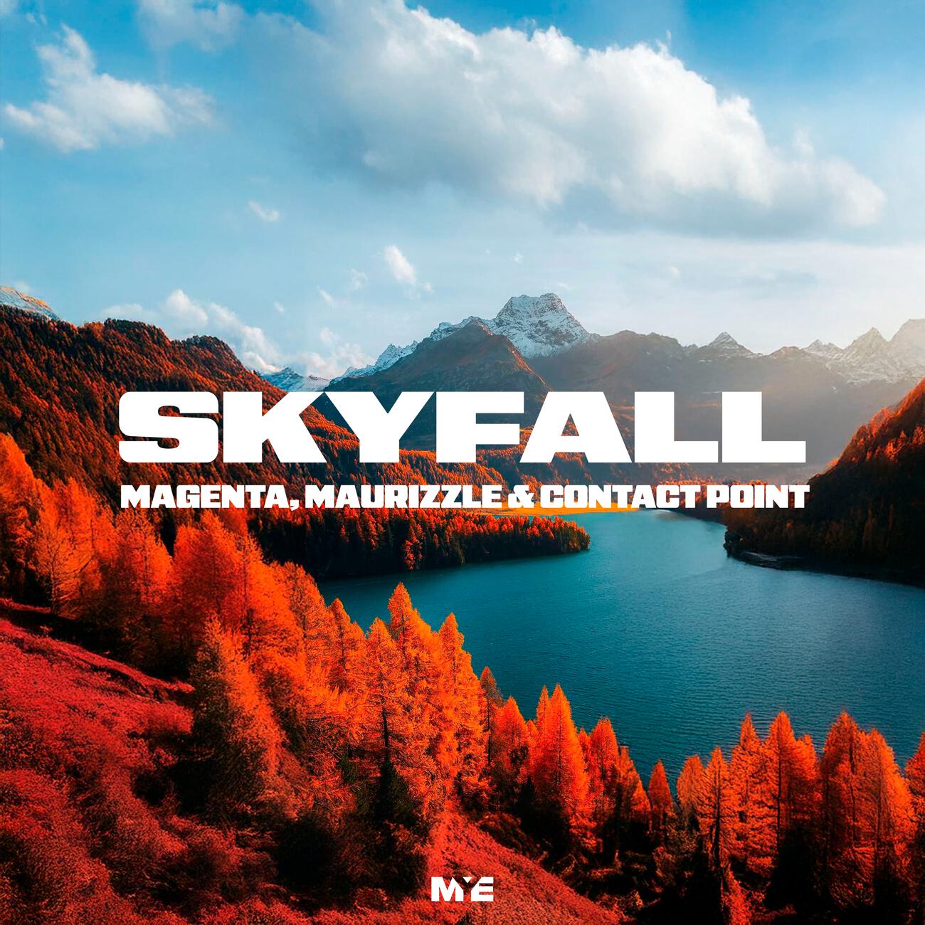 Постер альбома Skyfall