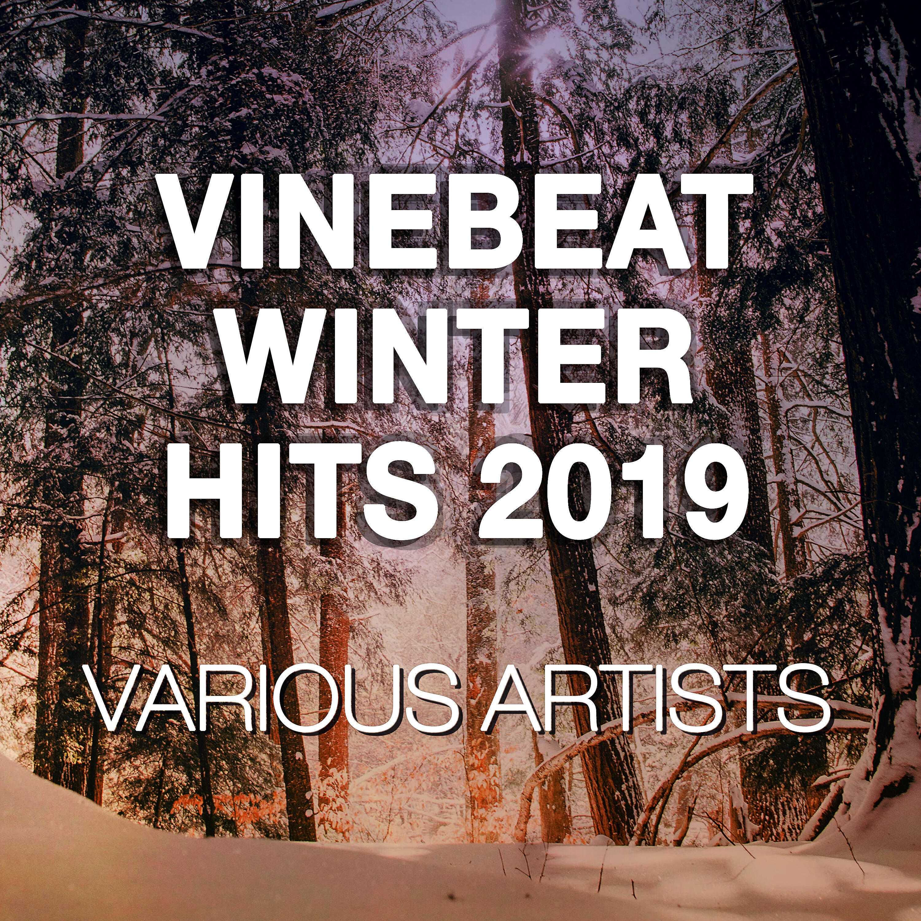 Релиз VineBeat Winter Hits 2019