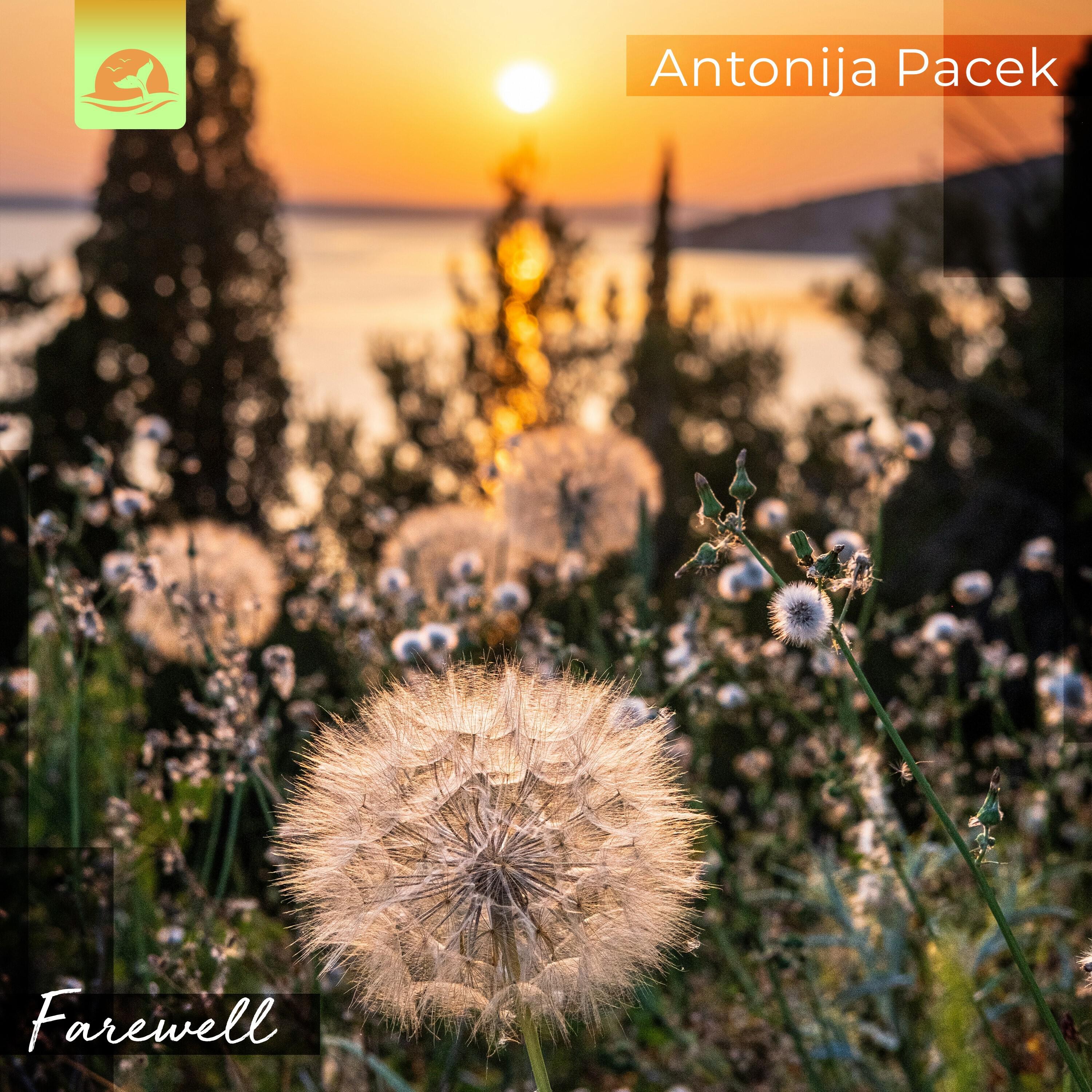 Релиз Farewell