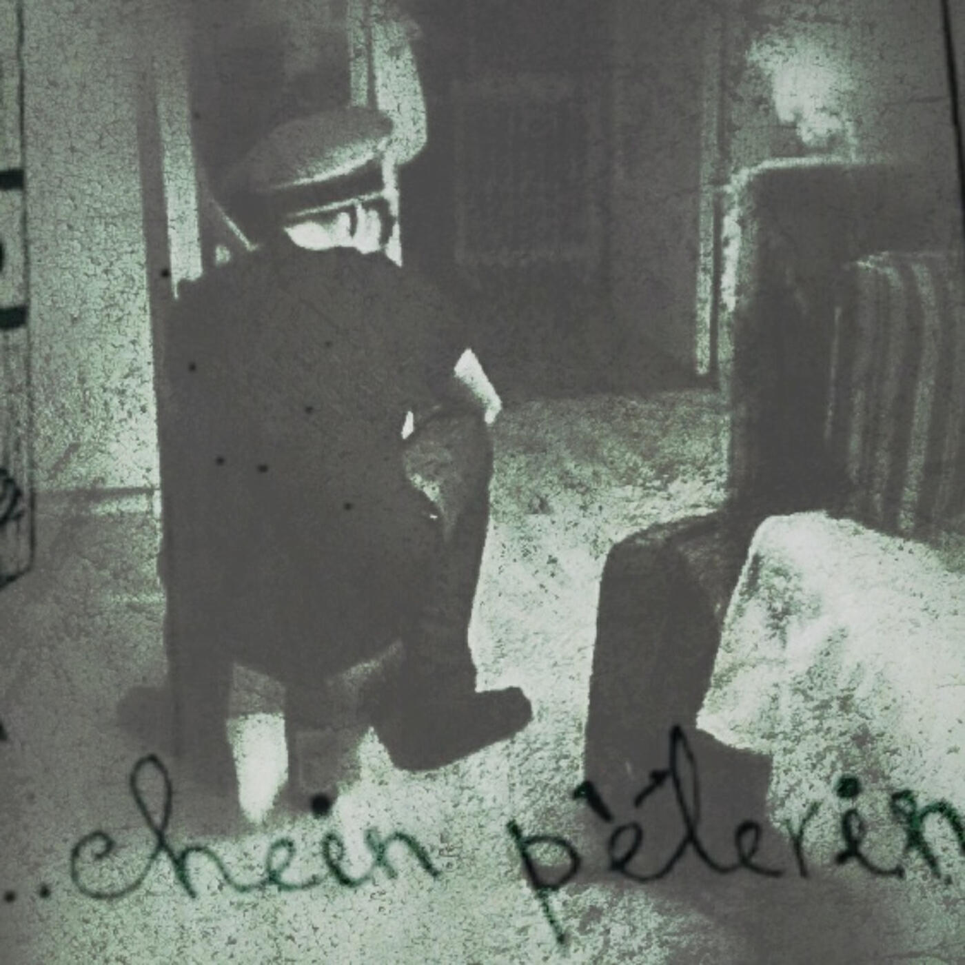 chien pèlerin